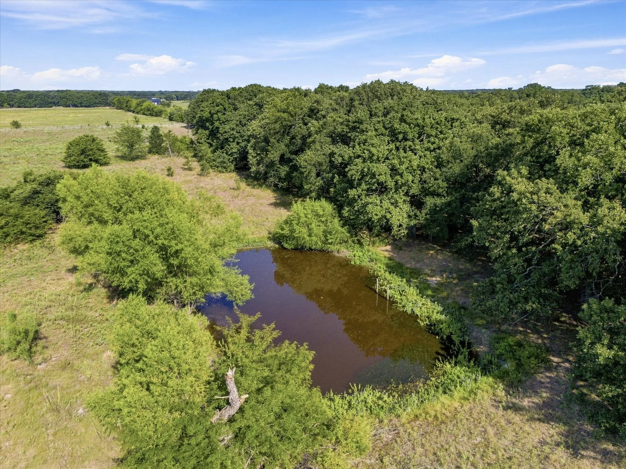 Unimproved Land For Sale in Kaufman County , 0 FM RD 3094 Fm Rd 3094, Scurry, Texas 75158, 0, 0, Garage spaces, 0 Sqft, built in 0, mls#21237472, Real Estate Agent in Scurry, Homes For Sale in Kaufman county, Homes For Sale in Scurry, Realtor in Scurry Texas, Real Estate Brokerage Independent Realty Texas, Luminita Cordes Realtor