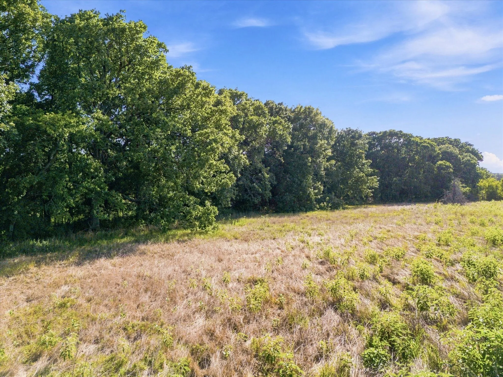 Unimproved Land For Sale in Kaufman County , 0 FM RD 3094 Fm Rd 3094, Scurry, Texas 75158, 0, 0, Garage spaces, 0 Sqft, built in 0, mls#21237472, Real Estate Agent in Scurry, Homes For Sale in Kaufman county, Homes For Sale in Scurry, Realtor in Scurry Texas, Real Estate Brokerage Independent Realty Texas, Luminita Cordes Realtor