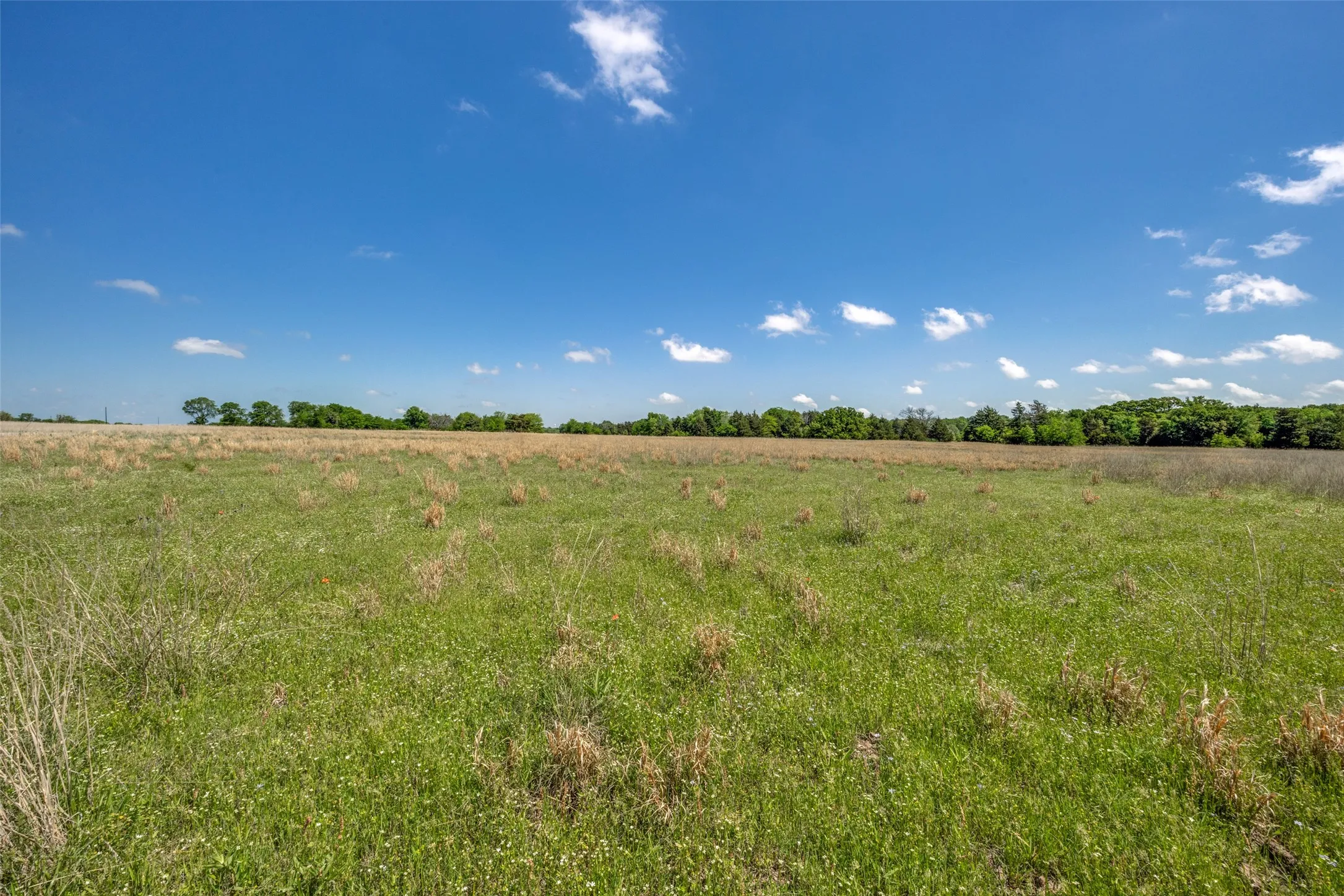Ranch For Sale in Hopkins County , 1203 County Road 4132, Cumby, Texas 75433, 0, 0, Garage spaces, 0 Sqft, built in 0, mls#21237792, Real Estate Agent in Cumby, Homes For Sale in Hopkins county, Homes For Sale in Cumby, Realtor in Cumby Texas, Real Estate Brokerage Independent Realty Texas, Luminita Cordes Realtor