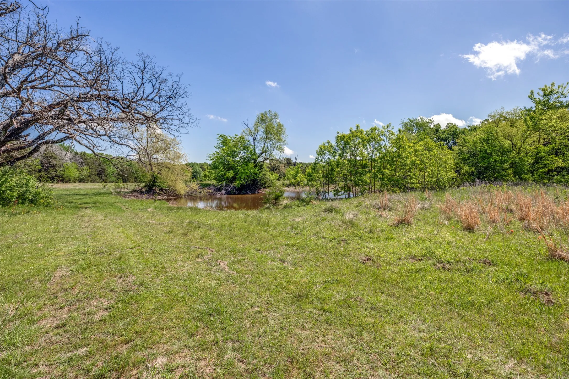 Ranch For Sale in Hopkins County , 1203 County Road 4132, Cumby, Texas 75433, 0, 0, Garage spaces, 0 Sqft, built in 0, mls#21237792, Real Estate Agent in Cumby, Homes For Sale in Hopkins county, Homes For Sale in Cumby, Realtor in Cumby Texas, Real Estate Brokerage Independent Realty Texas, Luminita Cordes Realtor