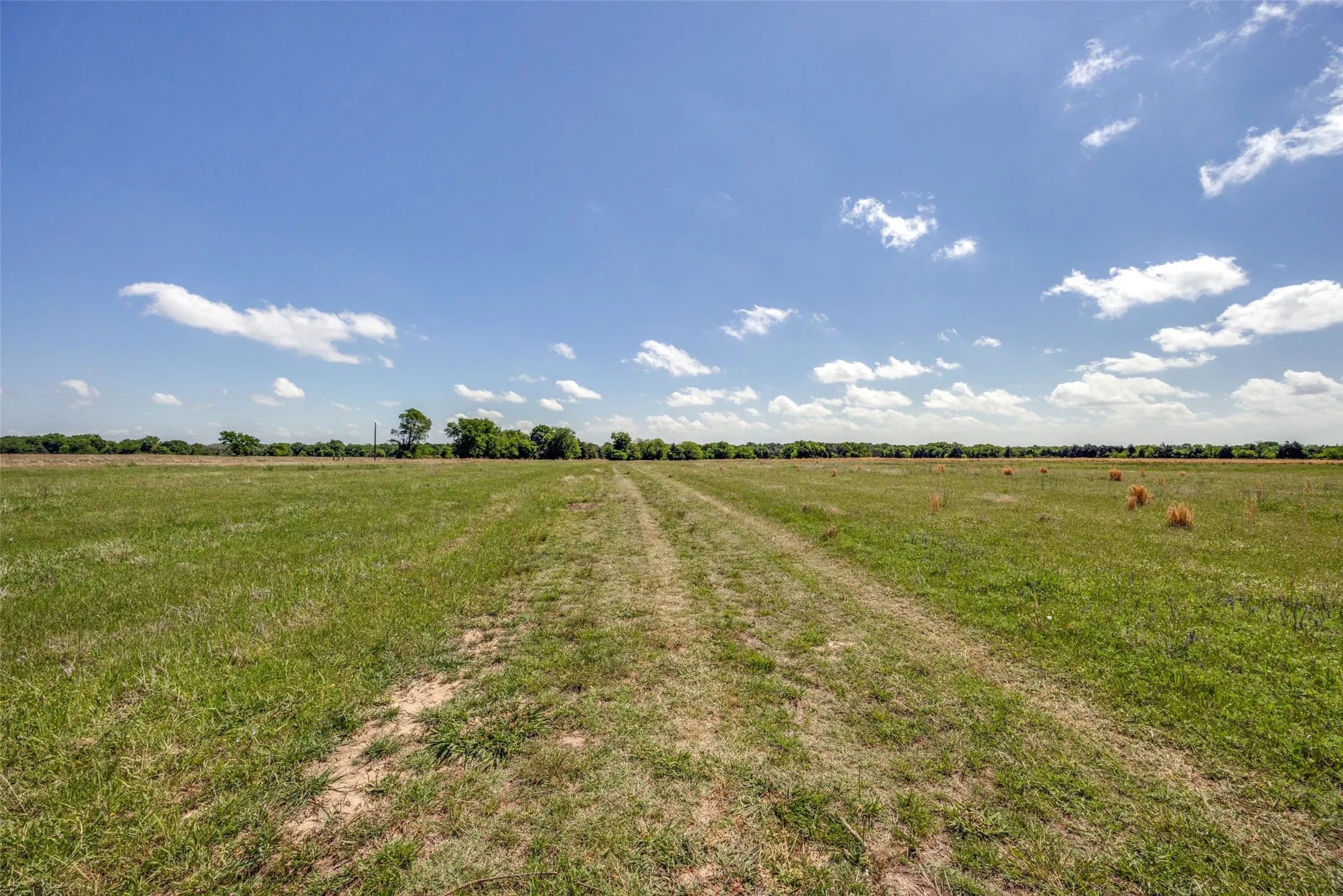 Ranch For Sale in Hopkins County , 1203 County Road 4132, Cumby, Texas 75433, 0, 0, Garage spaces, 0 Sqft, built in 0, mls#21237792, Real Estate Agent in Cumby, Homes For Sale in Hopkins county, Homes For Sale in Cumby, Realtor in Cumby Texas, Real Estate Brokerage Independent Realty Texas, Luminita Cordes Realtor