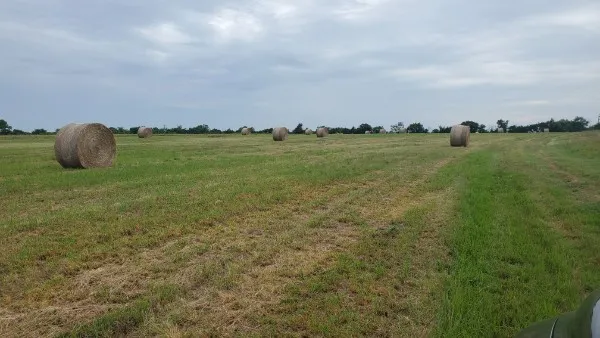 Ranch For Sale in Hopkins County , 1203 County Road 4132, Cumby, Texas 75433, 0, 0, Garage spaces, 0 Sqft, built in 0, mls#21237792, Real Estate Agent in Cumby, Homes For Sale in Hopkins county, Homes For Sale in Cumby, Realtor in Cumby Texas, Real Estate Brokerage Independent Realty Texas, Luminita Cordes Realtor