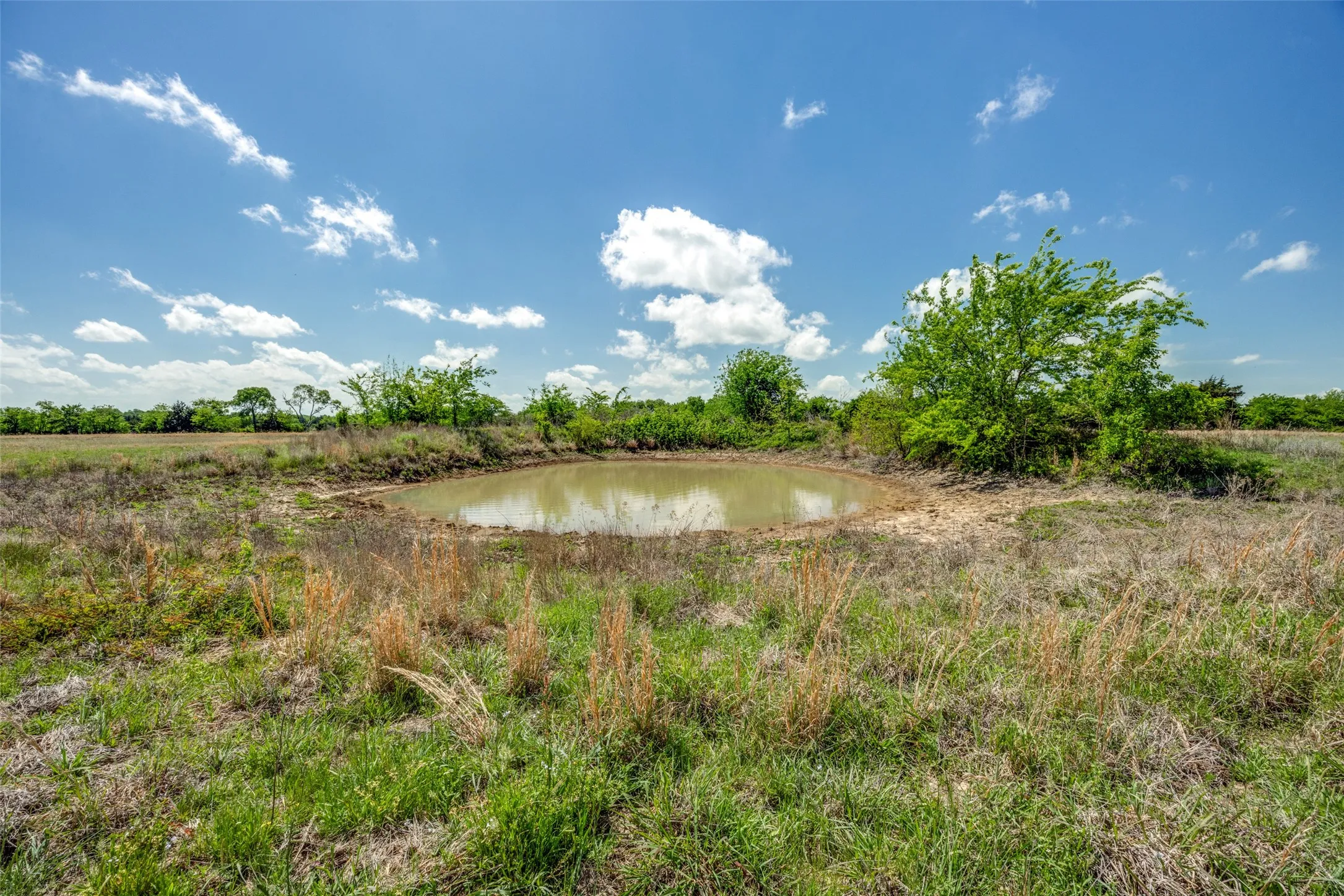 Ranch For Sale in Hopkins County , 1203 County Road 4132, Cumby, Texas 75433, 0, 0, Garage spaces, 0 Sqft, built in 0, mls#21237792, Real Estate Agent in Cumby, Homes For Sale in Hopkins county, Homes For Sale in Cumby, Realtor in Cumby Texas, Real Estate Brokerage Independent Realty Texas, Luminita Cordes Realtor