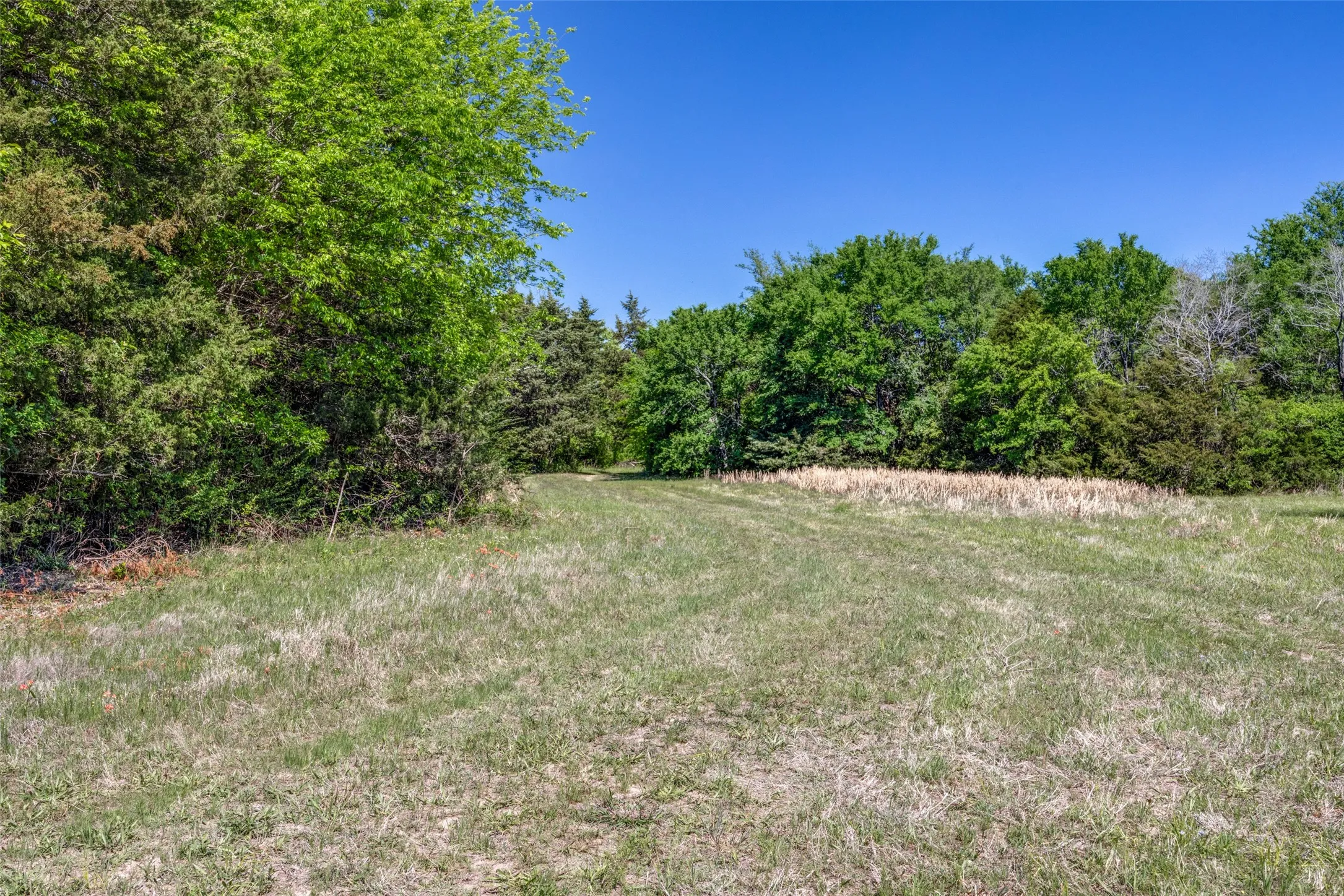 Ranch For Sale in Hopkins County , 1203 County Road 4132, Cumby, Texas 75433, 0, 0, Garage spaces, 0 Sqft, built in 0, mls#21237792, Real Estate Agent in Cumby, Homes For Sale in Hopkins county, Homes For Sale in Cumby, Realtor in Cumby Texas, Real Estate Brokerage Independent Realty Texas, Luminita Cordes Realtor