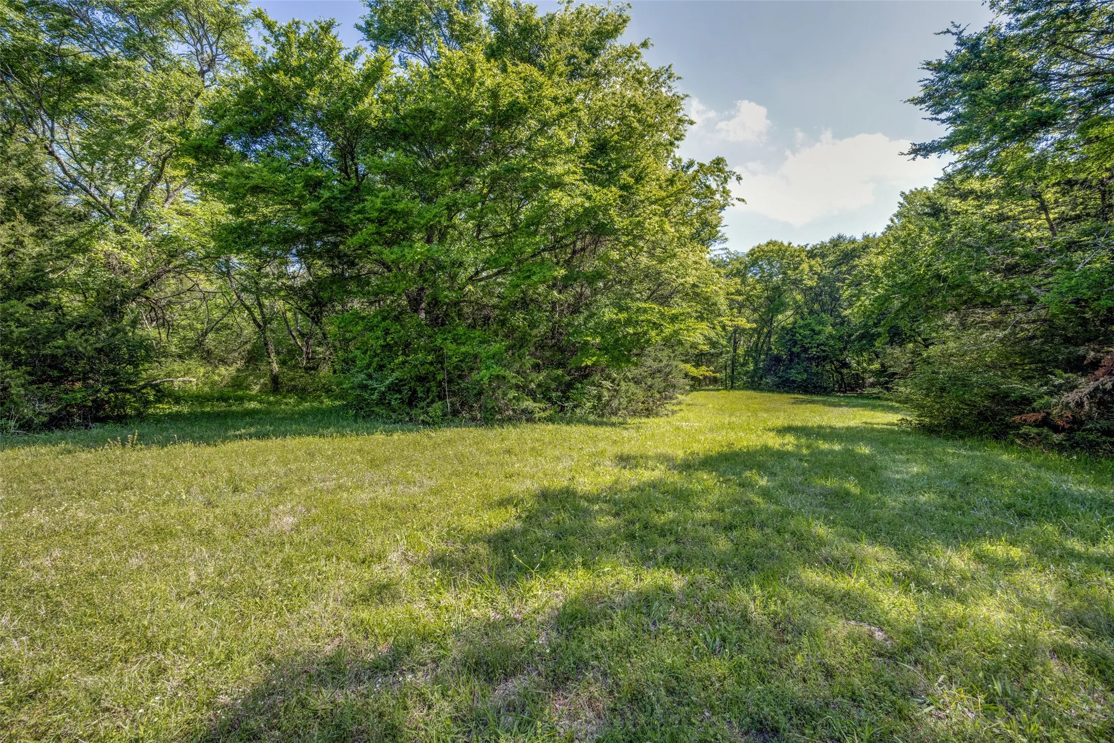Ranch For Sale in Hopkins County , 1203 County Road 4132, Cumby, Texas 75433, 0, 0, Garage spaces, 0 Sqft, built in 0, mls#21237792, Real Estate Agent in Cumby, Homes For Sale in Hopkins county, Homes For Sale in Cumby, Realtor in Cumby Texas, Real Estate Brokerage Independent Realty Texas, Luminita Cordes Realtor