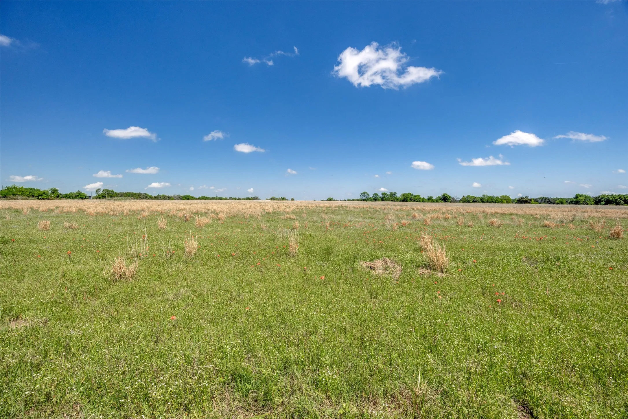 Ranch For Sale in Hopkins County , 1203 County Road 4132, Cumby, Texas 75433, 0, 0, Garage spaces, 0 Sqft, built in 0, mls#21237792, Real Estate Agent in Cumby, Homes For Sale in Hopkins county, Homes For Sale in Cumby, Realtor in Cumby Texas, Real Estate Brokerage Independent Realty Texas, Luminita Cordes Realtor