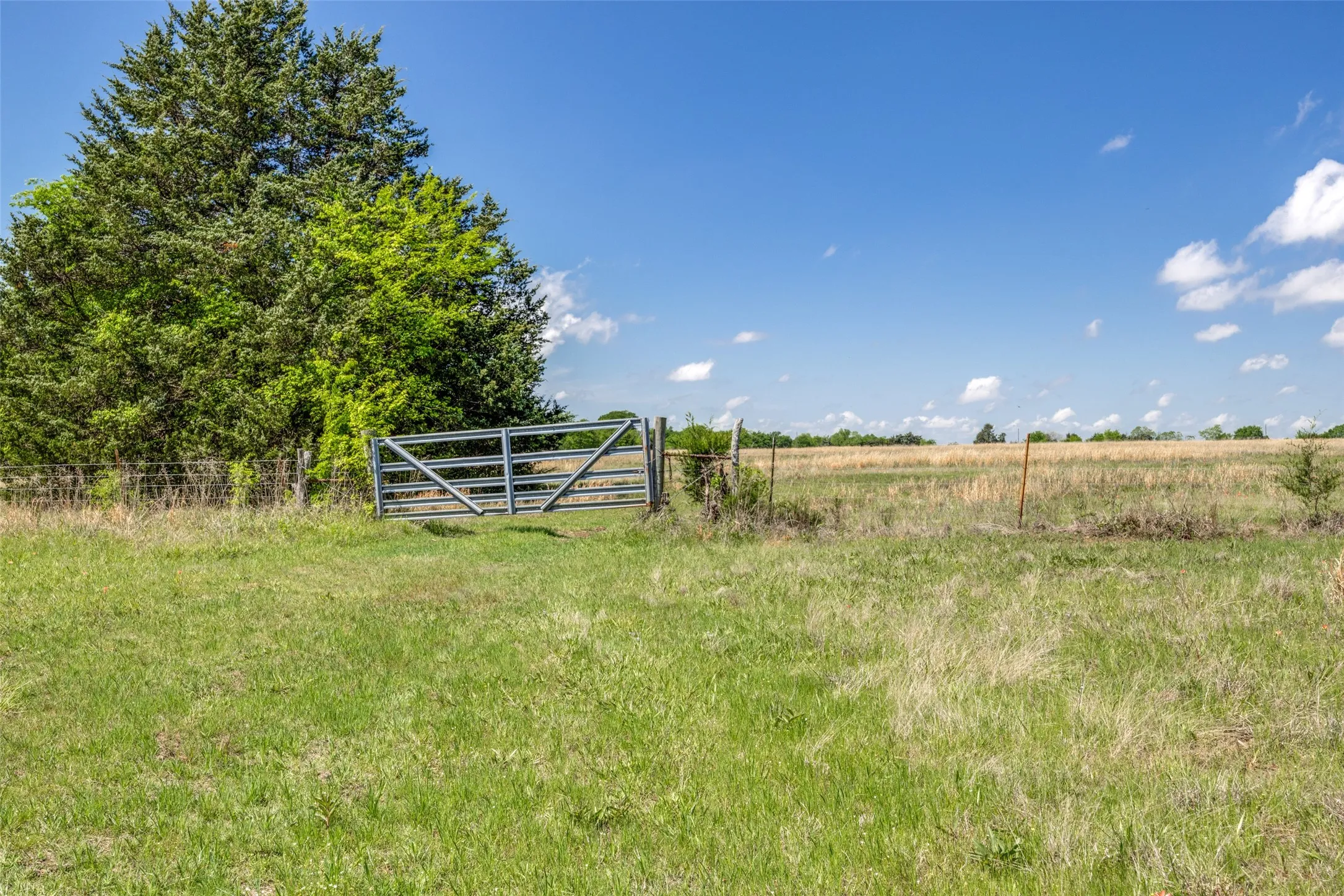 Ranch For Sale in Hopkins County , 1203 County Road 4132, Cumby, Texas 75433, 0, 0, Garage spaces, 0 Sqft, built in 0, mls#21237792, Real Estate Agent in Cumby, Homes For Sale in Hopkins county, Homes For Sale in Cumby, Realtor in Cumby Texas, Real Estate Brokerage Independent Realty Texas, Luminita Cordes Realtor