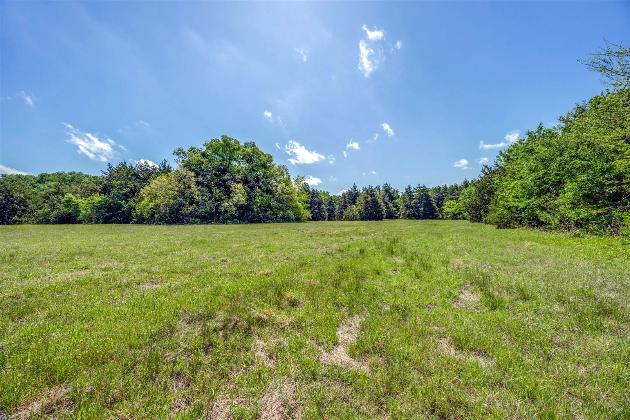 Ranch For Sale in Hopkins County , 1203 County Road 4132, Cumby, Texas 75433, 0, 0, Garage spaces, 0 Sqft, built in 0, mls#21237792, Real Estate Agent in Cumby, Homes For Sale in Hopkins county, Homes For Sale in Cumby, Realtor in Cumby Texas, Real Estate Brokerage Independent Realty Texas, Luminita Cordes Realtor