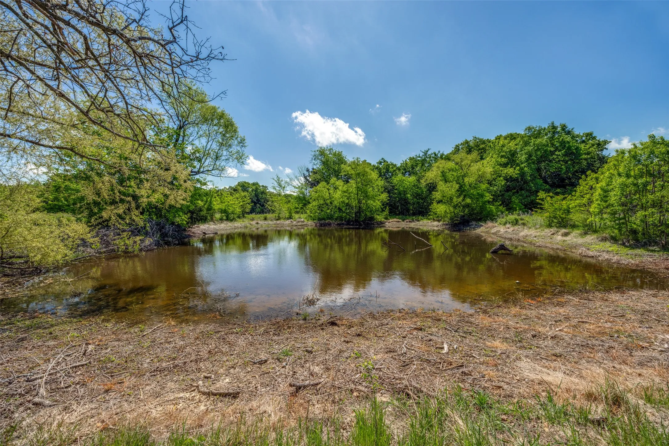 Ranch For Sale in Hopkins County , 1203 County Road 4132, Cumby, Texas 75433, 0, 0, Garage spaces, 0 Sqft, built in 0, mls#21237792, Real Estate Agent in Cumby, Homes For Sale in Hopkins county, Homes For Sale in Cumby, Realtor in Cumby Texas, Real Estate Brokerage Independent Realty Texas, Luminita Cordes Realtor
