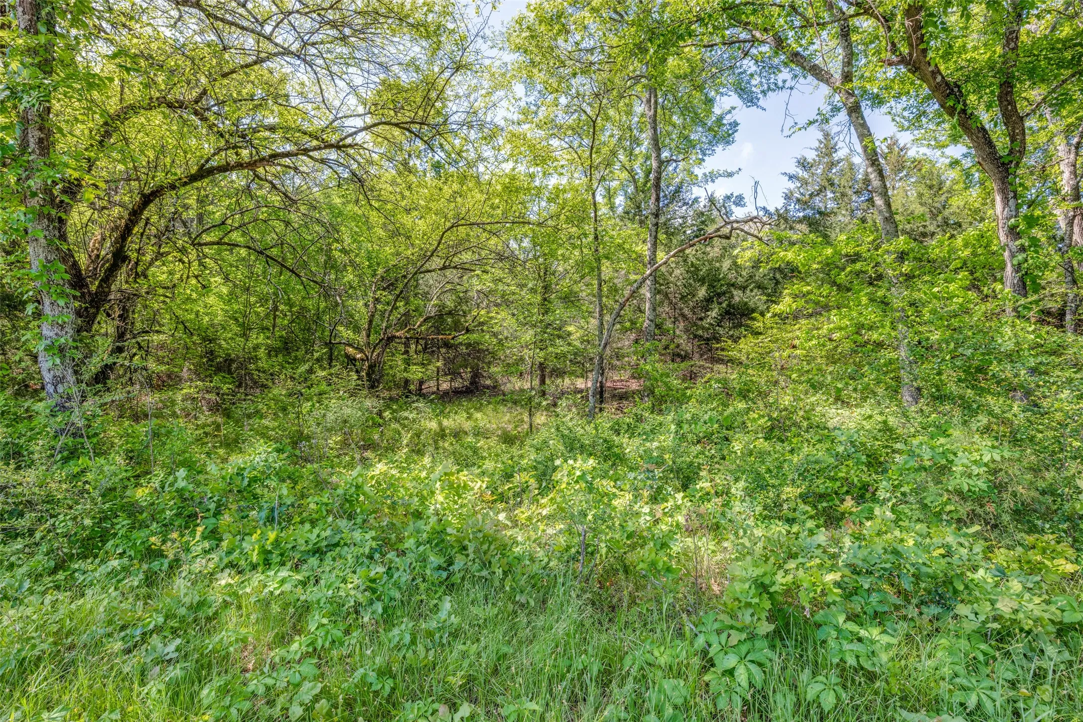 Ranch For Sale in Hopkins County , 1203 County Road 4132, Cumby, Texas 75433, 0, 0, Garage spaces, 0 Sqft, built in 0, mls#21237792, Real Estate Agent in Cumby, Homes For Sale in Hopkins county, Homes For Sale in Cumby, Realtor in Cumby Texas, Real Estate Brokerage Independent Realty Texas, Luminita Cordes Realtor