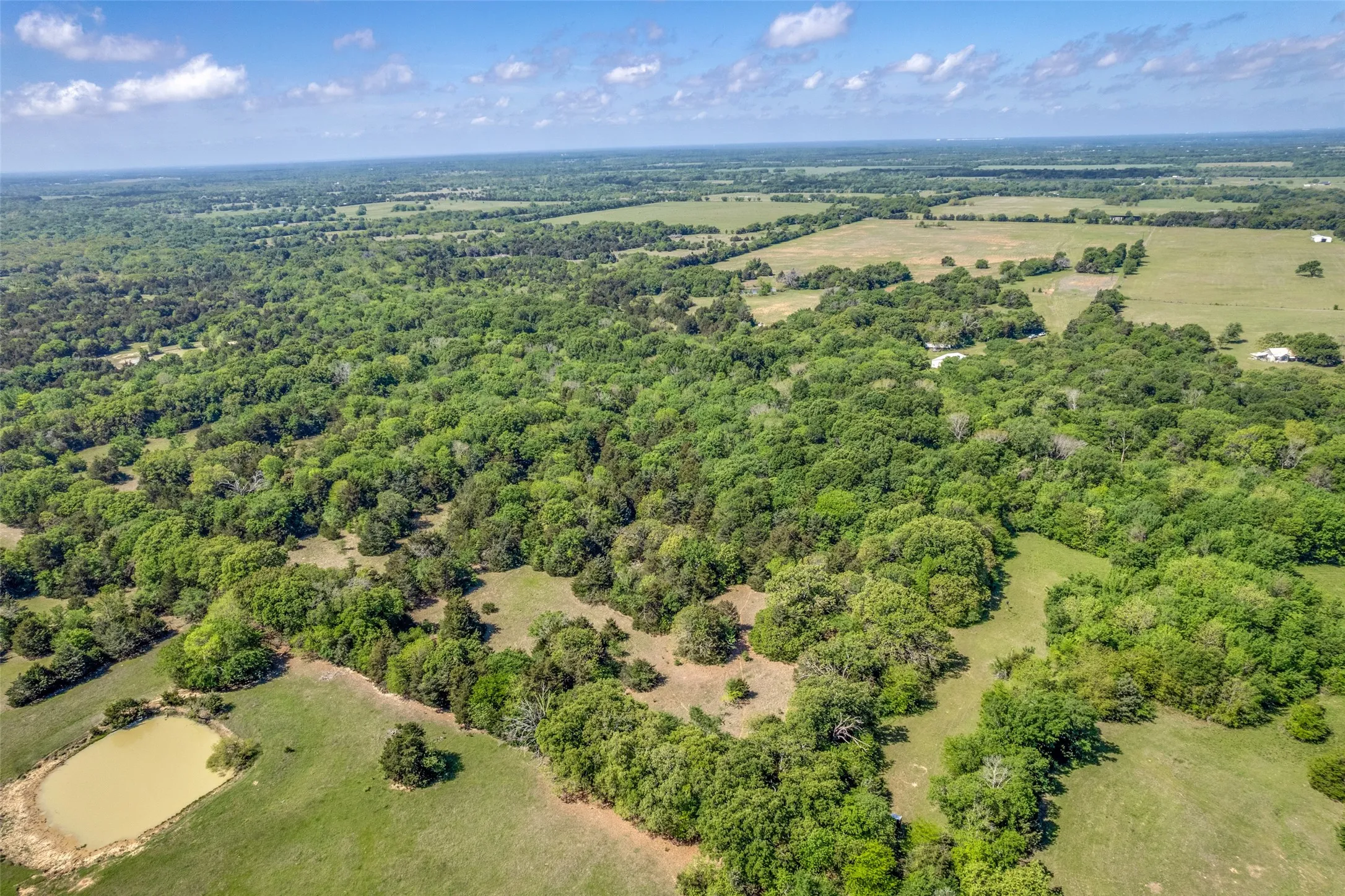 Ranch For Sale in Hopkins County , 1203 County Road 4132, Cumby, Texas 75433, 0, 0, Garage spaces, 0 Sqft, built in 0, mls#21237792, Real Estate Agent in Cumby, Homes For Sale in Hopkins county, Homes For Sale in Cumby, Realtor in Cumby Texas, Real Estate Brokerage Independent Realty Texas, Luminita Cordes Realtor