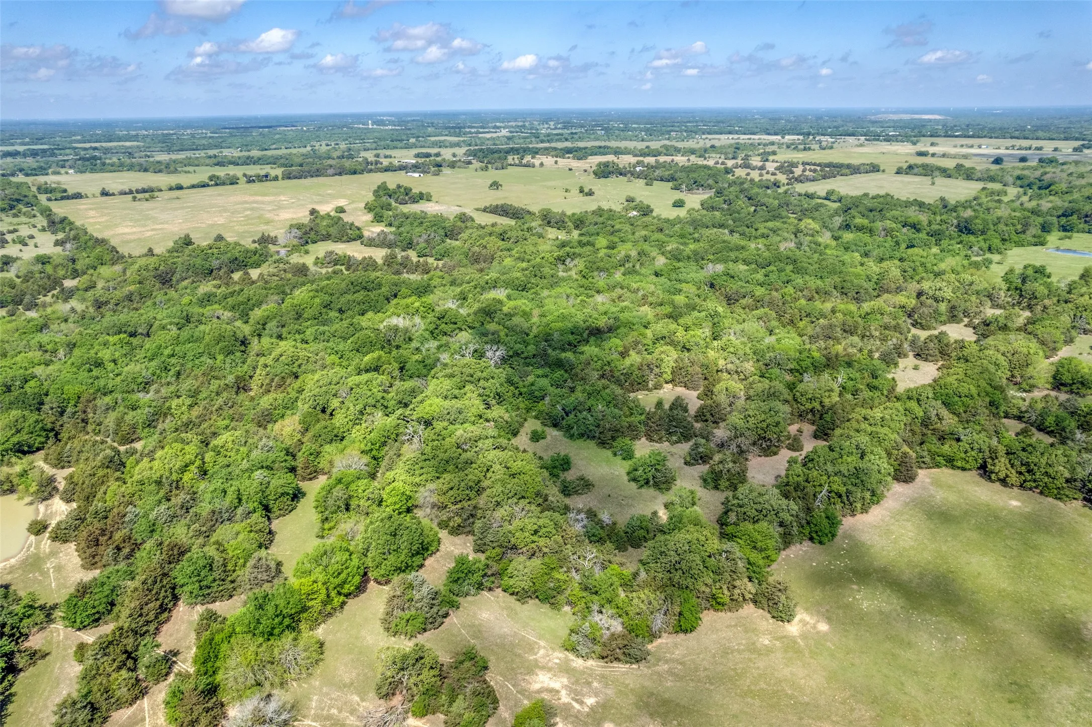 Ranch For Sale in Hopkins County , 1203 County Road 4132, Cumby, Texas 75433, 0, 0, Garage spaces, 0 Sqft, built in 0, mls#21237792, Real Estate Agent in Cumby, Homes For Sale in Hopkins county, Homes For Sale in Cumby, Realtor in Cumby Texas, Real Estate Brokerage Independent Realty Texas, Luminita Cordes Realtor