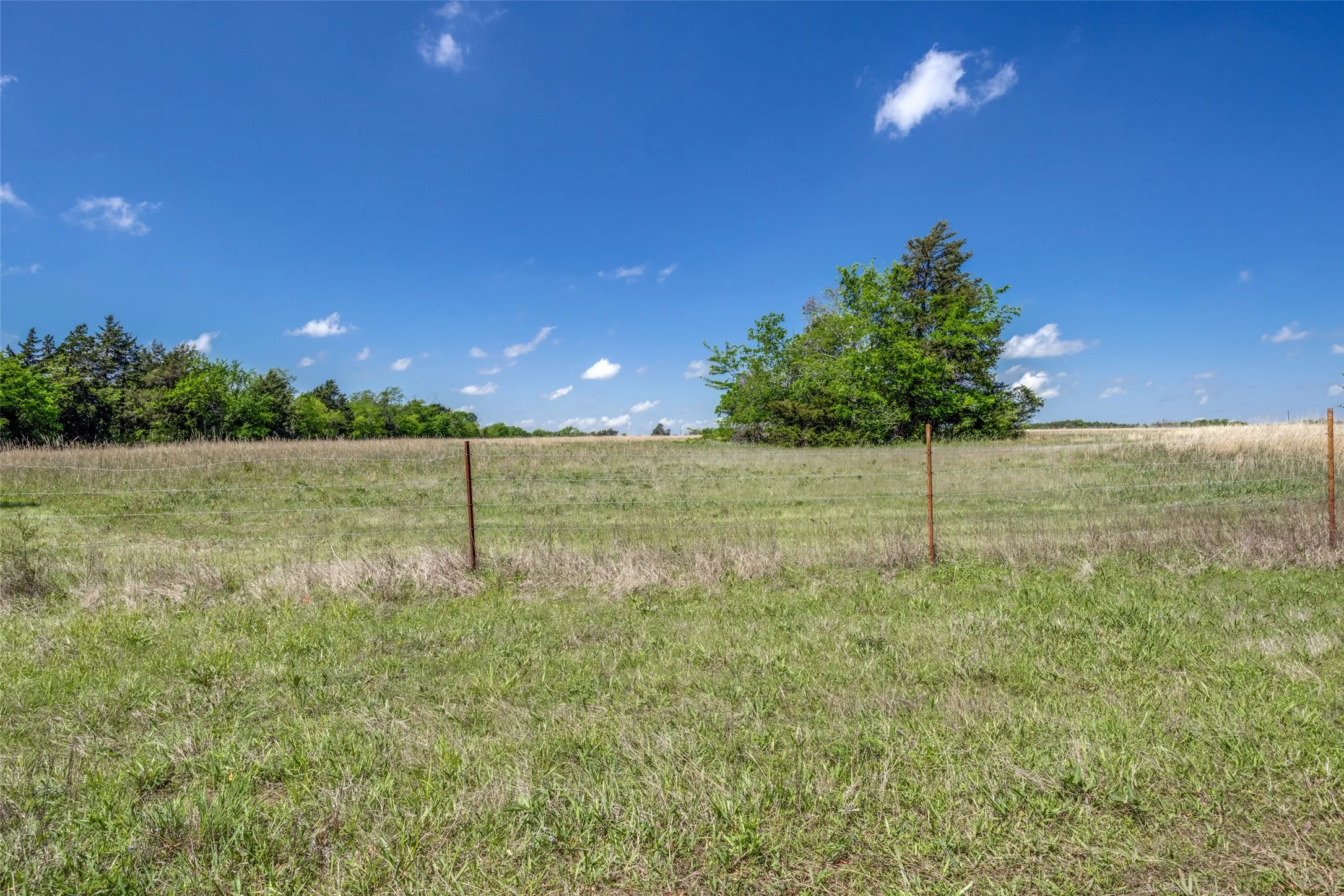 Ranch For Sale in Hopkins County , 1203 County Road 4132, Cumby, Texas 75433, 0, 0, Garage spaces, 0 Sqft, built in 0, mls#21237792, Real Estate Agent in Cumby, Homes For Sale in Hopkins county, Homes For Sale in Cumby, Realtor in Cumby Texas, Real Estate Brokerage Independent Realty Texas, Luminita Cordes Realtor