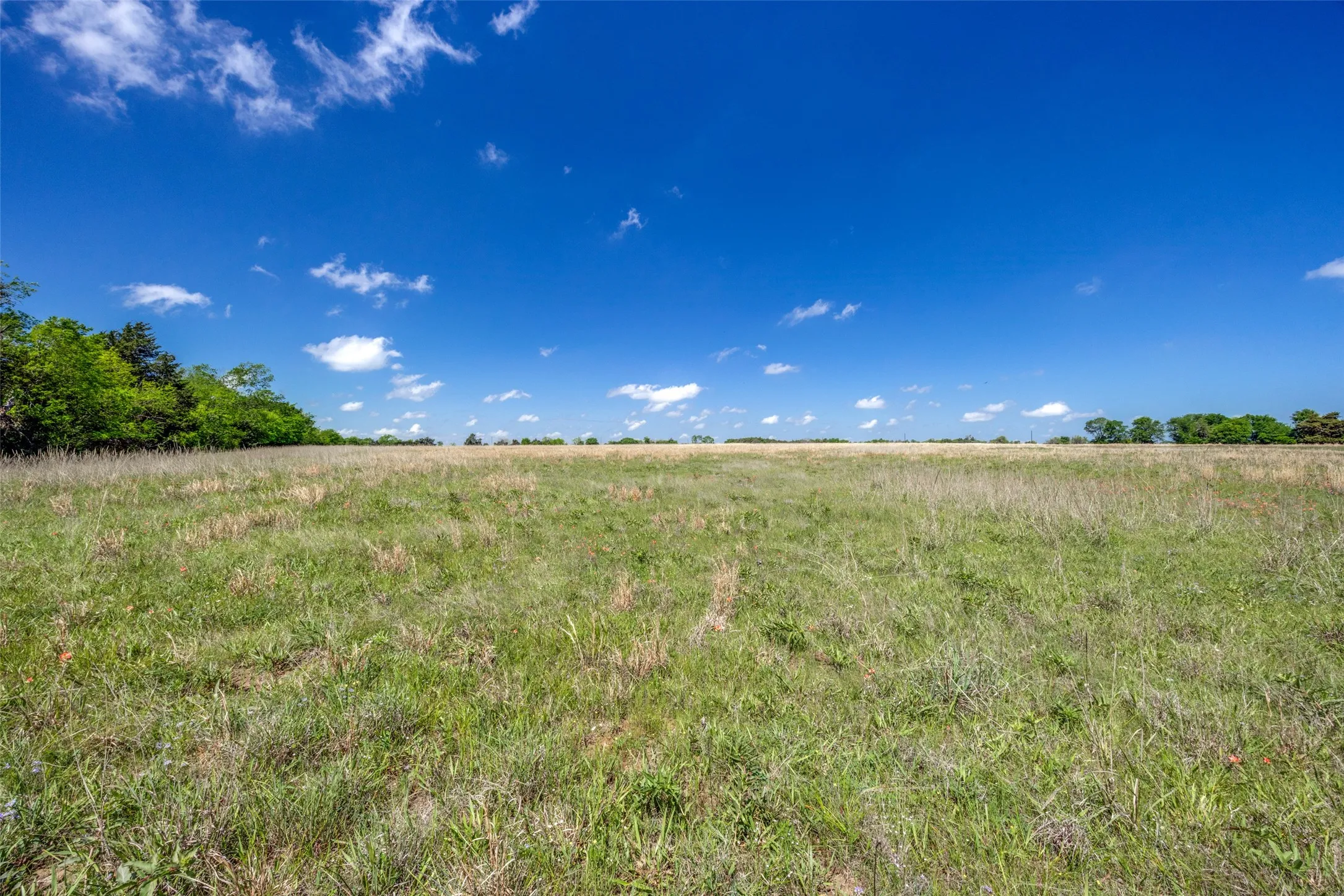 Ranch For Sale in Hopkins County , 1203 County Road 4132, Cumby, Texas 75433, 0, 0, Garage spaces, 0 Sqft, built in 0, mls#21237792, Real Estate Agent in Cumby, Homes For Sale in Hopkins county, Homes For Sale in Cumby, Realtor in Cumby Texas, Real Estate Brokerage Independent Realty Texas, Luminita Cordes Realtor
