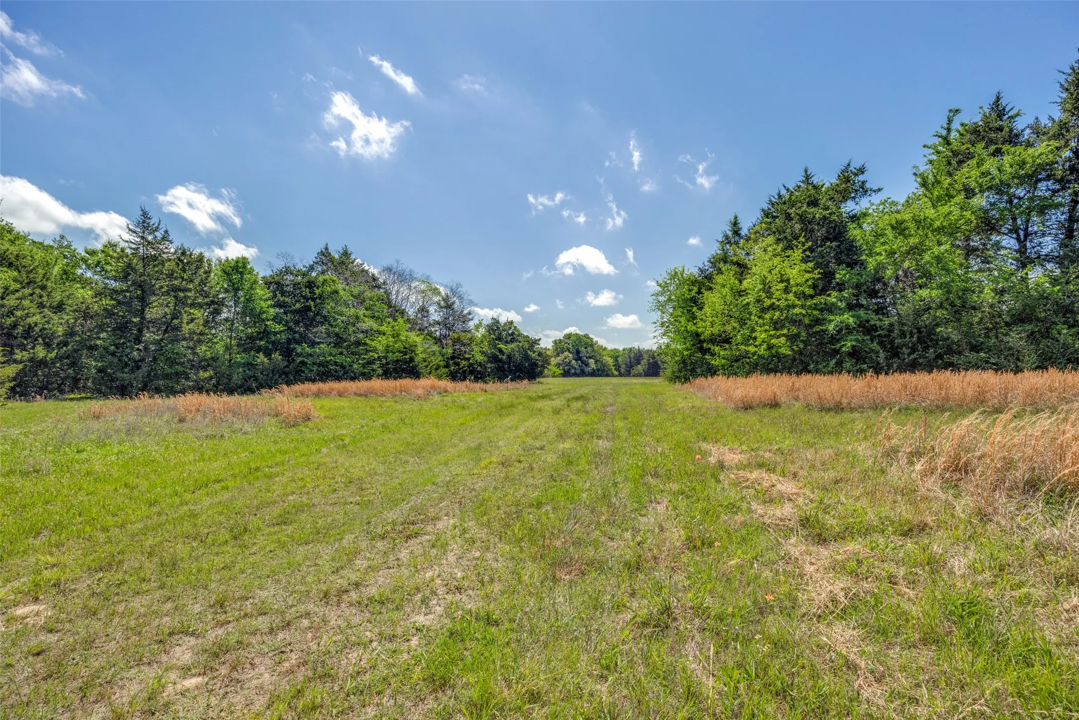 Ranch For Sale in Hopkins County , 1203 County Road 4132, Cumby, Texas 75433, 0, 0, Garage spaces, 0 Sqft, built in 0, mls#21237792, Real Estate Agent in Cumby, Homes For Sale in Hopkins county, Homes For Sale in Cumby, Realtor in Cumby Texas, Real Estate Brokerage Independent Realty Texas, Luminita Cordes Realtor