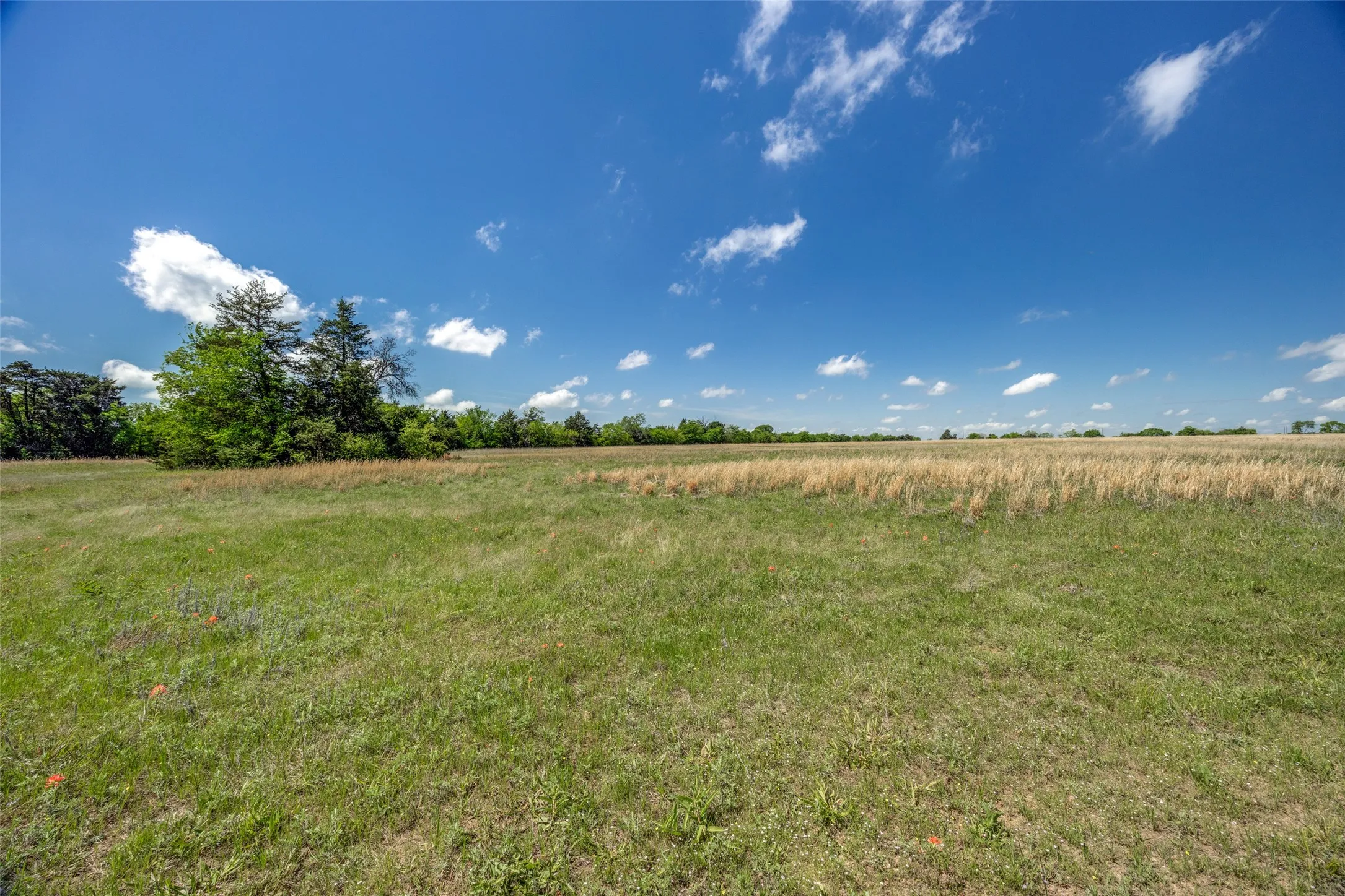 Ranch For Sale in Hopkins County , 1203 County Road 4132, Cumby, Texas 75433, 0, 0, Garage spaces, 0 Sqft, built in 0, mls#21237792, Real Estate Agent in Cumby, Homes For Sale in Hopkins county, Homes For Sale in Cumby, Realtor in Cumby Texas, Real Estate Brokerage Independent Realty Texas, Luminita Cordes Realtor