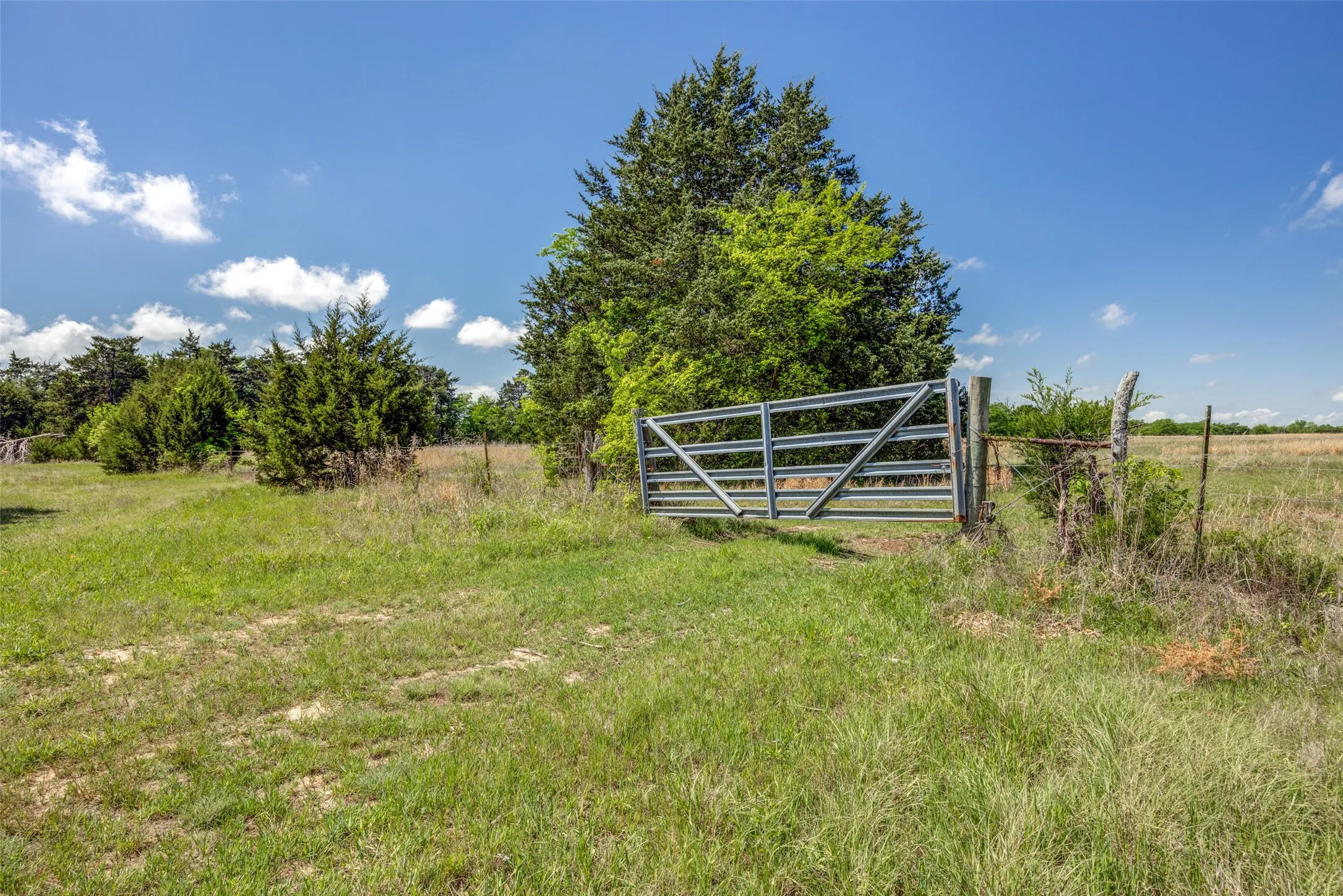 Ranch For Sale in Hopkins County , 1203 County Road 4132, Cumby, Texas 75433, 0, 0, Garage spaces, 0 Sqft, built in 0, mls#21237792, Real Estate Agent in Cumby, Homes For Sale in Hopkins county, Homes For Sale in Cumby, Realtor in Cumby Texas, Real Estate Brokerage Independent Realty Texas, Luminita Cordes Realtor
