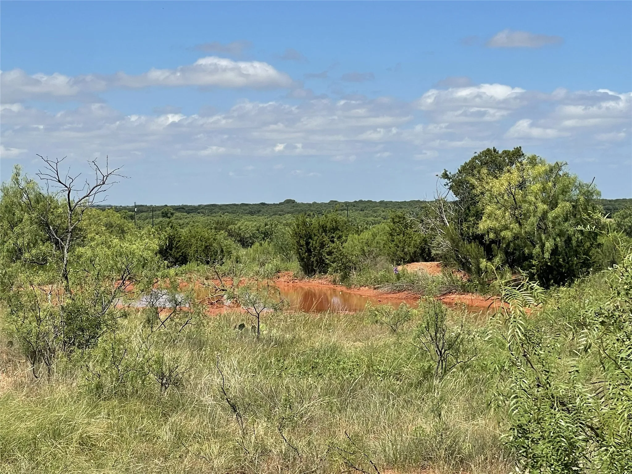 Ranch For Sale in Taylor County , 2221 Lemons Gap Road, Ovalo, Texas 79541, 0, 0, Garage spaces, 0 Sqft, built in 0, Price $335,000, mls#21237877, Real Estate Agent in Ovalo, Homes For Sale in Taylor county, Homes For Sale in Ovalo, Realtor in Ovalo Texas, Real Estate Brokerage Independent Realty Texas, Luminita Cordes Realtor