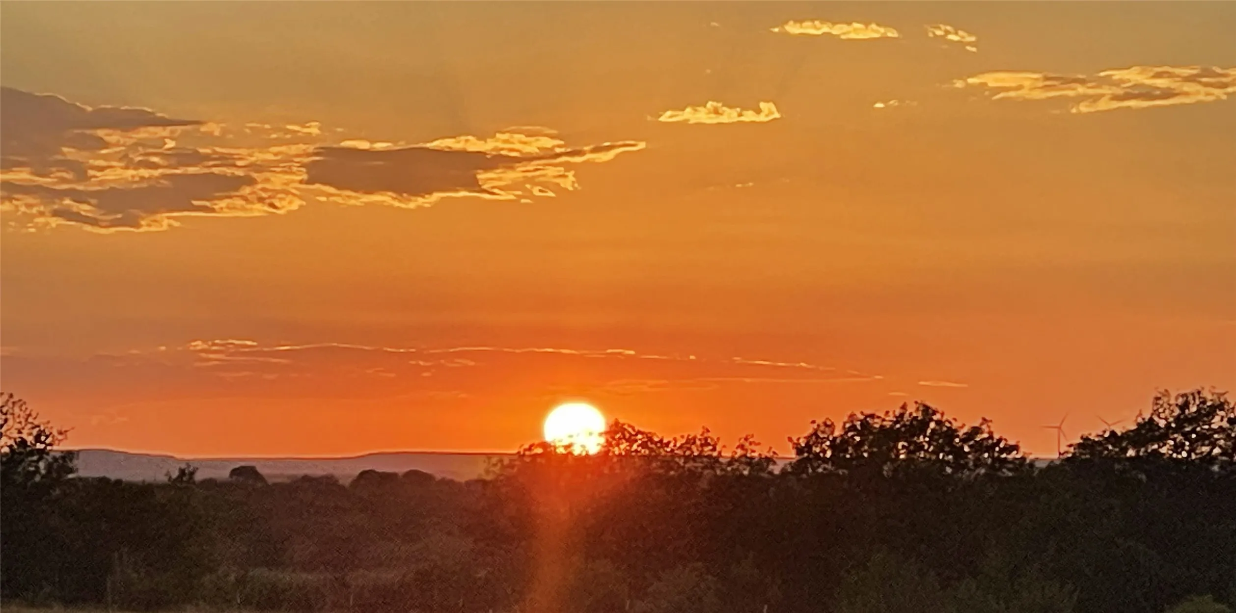 Ranch For Sale in Taylor County , 2221 Lemons Gap Road, Ovalo, Texas 79541, 0, 0, Garage spaces, 0 Sqft, built in 0, Price $335,000, mls#21237877, Real Estate Agent in Ovalo, Homes For Sale in Taylor county, Homes For Sale in Ovalo, Realtor in Ovalo Texas, Real Estate Brokerage Independent Realty Texas, Luminita Cordes Realtor