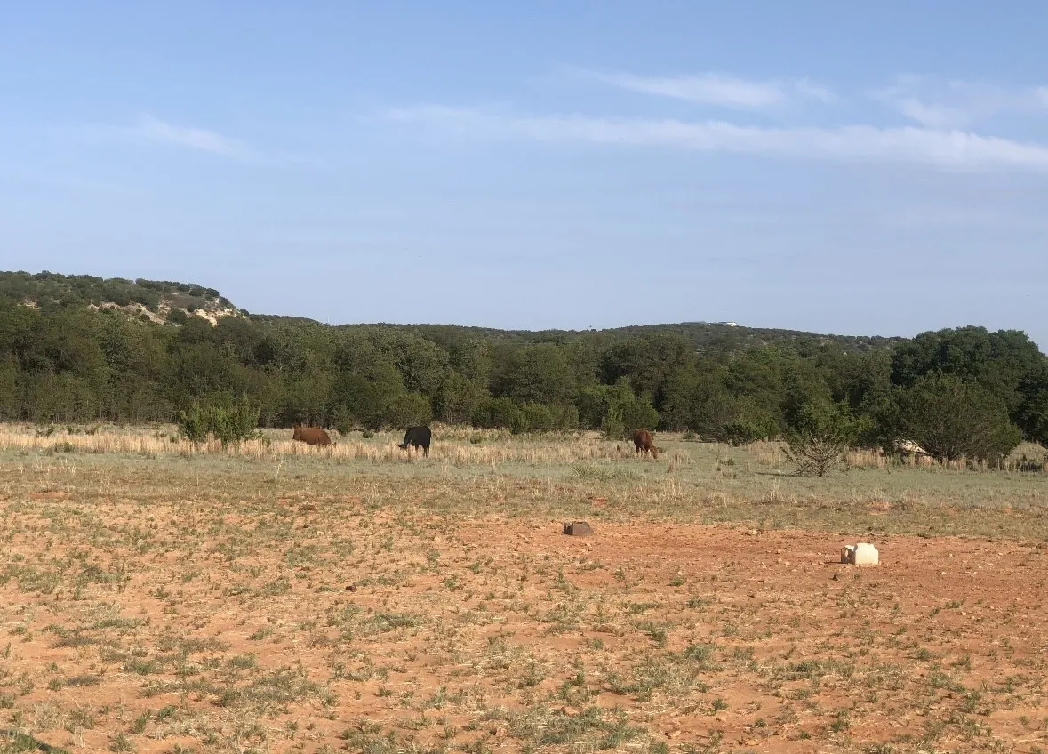 Ranch For Sale in Taylor County , 2221 Lemons Gap Road, Ovalo, Texas 79541, 0, 0, Garage spaces, 0 Sqft, built in 0, Price $335,000, mls#21237877, Real Estate Agent in Ovalo, Homes For Sale in Taylor county, Homes For Sale in Ovalo, Realtor in Ovalo Texas, Real Estate Brokerage Independent Realty Texas, Luminita Cordes Realtor