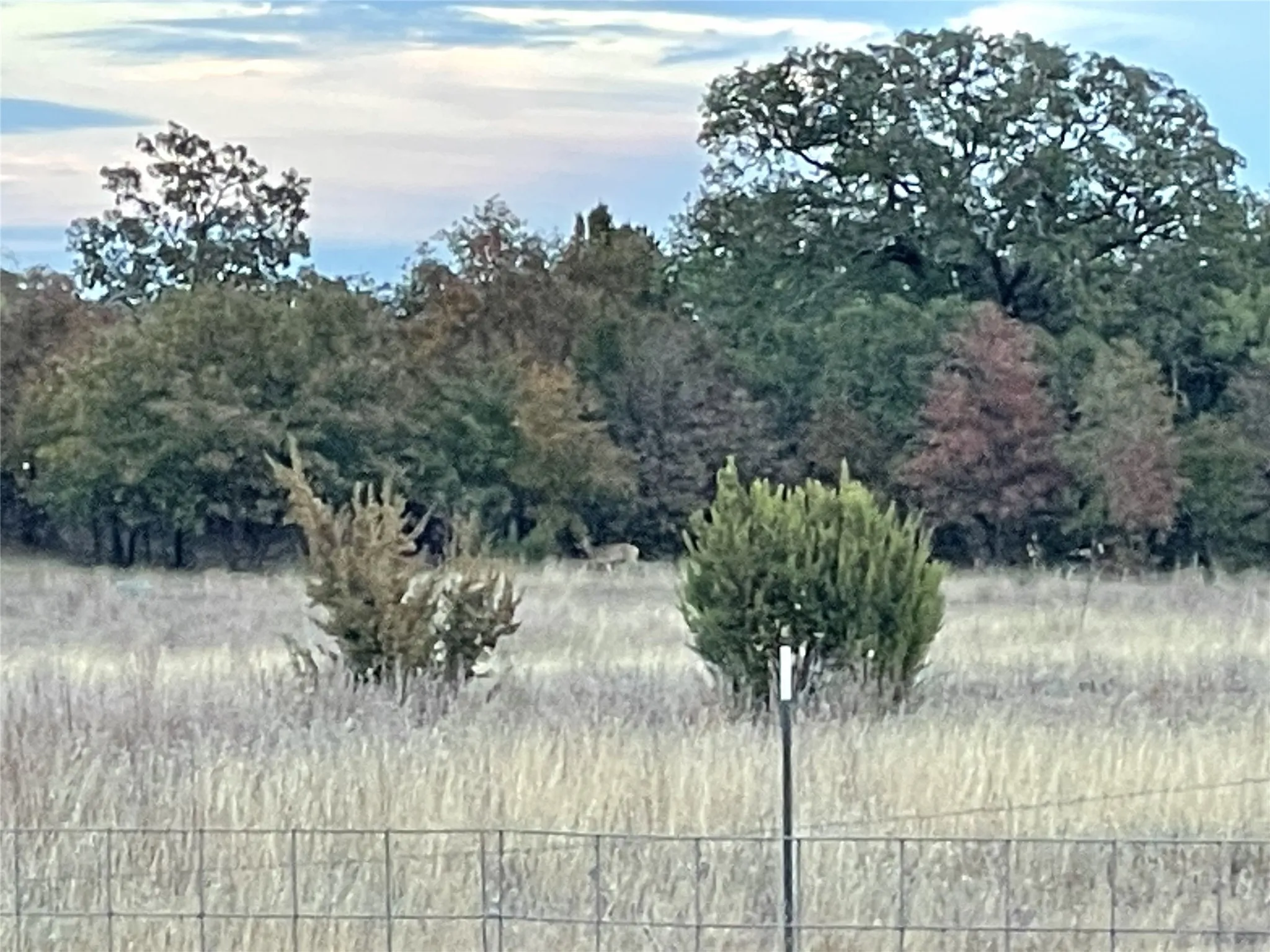 Ranch For Sale in Taylor County , 2221 Lemons Gap Road, Ovalo, Texas 79541, 0, 0, Garage spaces, 0 Sqft, built in 0, Price $335,000, mls#21237877, Real Estate Agent in Ovalo, Homes For Sale in Taylor county, Homes For Sale in Ovalo, Realtor in Ovalo Texas, Real Estate Brokerage Independent Realty Texas, Luminita Cordes Realtor