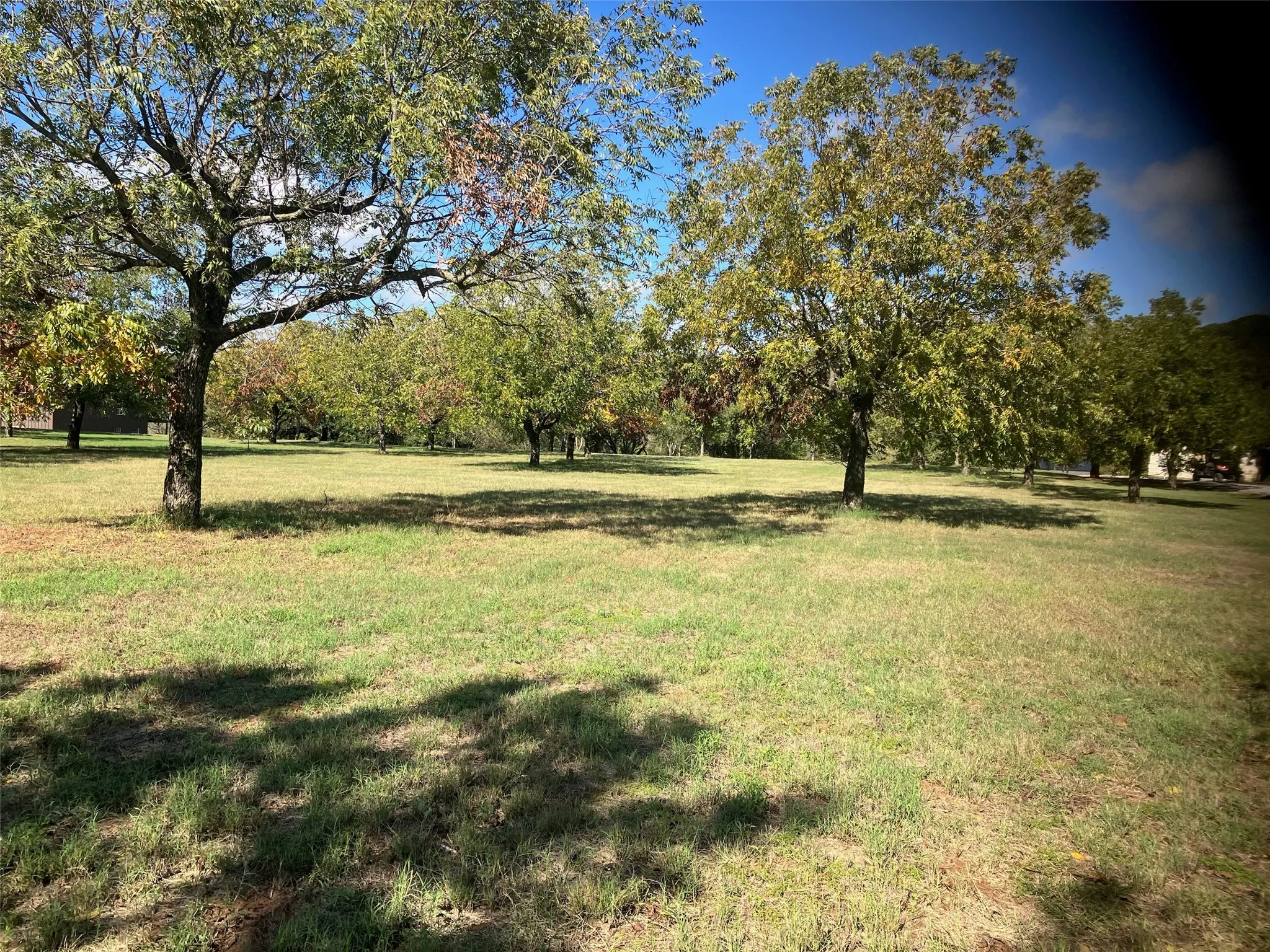 Unimproved Land For Sale in Hood County , 11026 Orchards Boulevard, Cleburne, Texas 76033, 0, 0, Garage spaces, 0 Sqft, built in 0, mls#21237962, Real Estate Agent in Cleburne, Homes For Sale in Hood county, Homes For Sale in Cleburne, Realtor in Cleburne Texas, Real Estate Brokerage Independent Realty Texas, Luminita Cordes Realtor