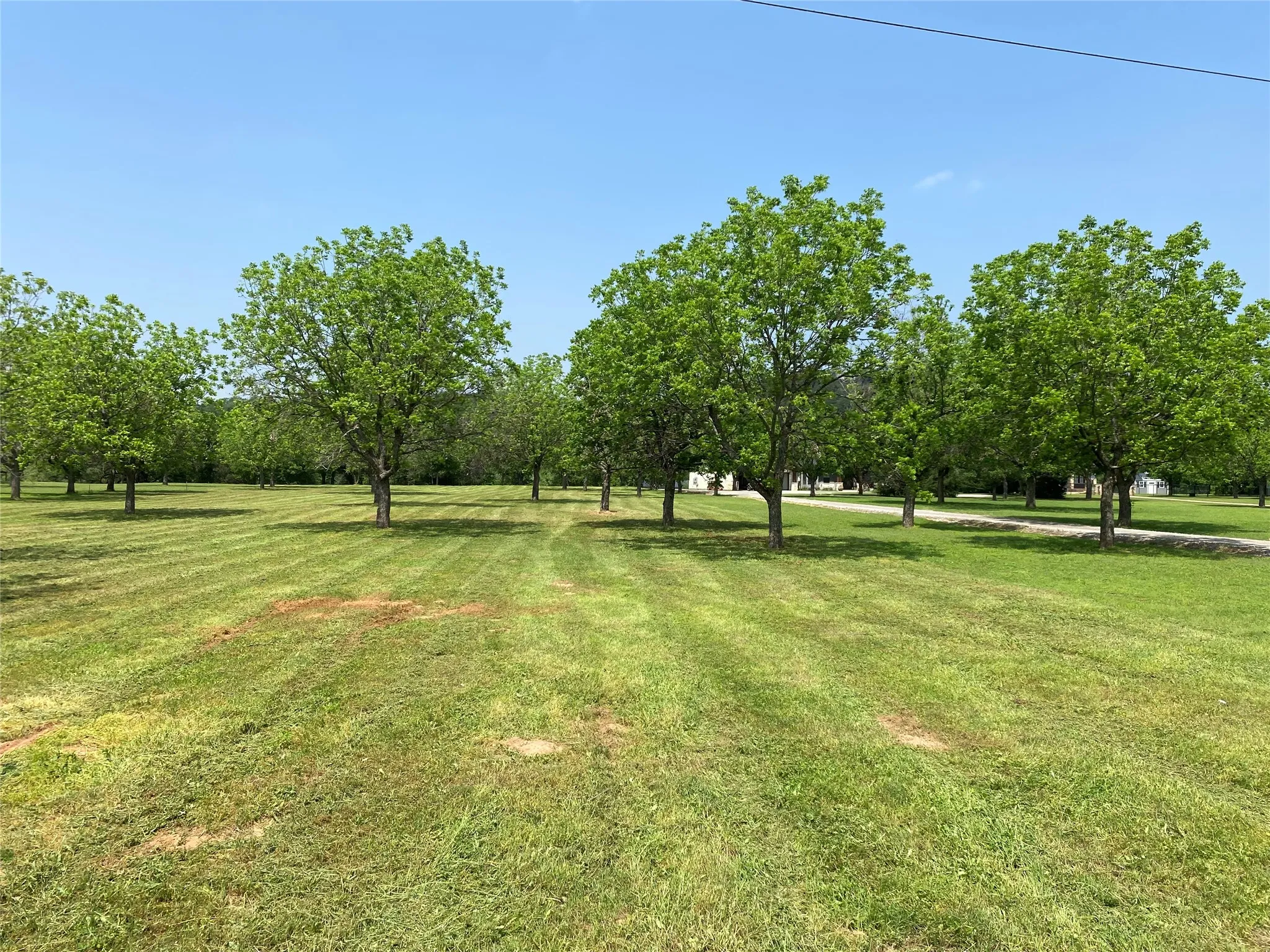Unimproved Land For Sale in Hood County , 11026 Orchards Boulevard, Cleburne, Texas 76033, 0, 0, Garage spaces, 0 Sqft, built in 0, mls#21237962, Real Estate Agent in Cleburne, Homes For Sale in Hood county, Homes For Sale in Cleburne, Realtor in Cleburne Texas, Real Estate Brokerage Independent Realty Texas, Luminita Cordes Realtor