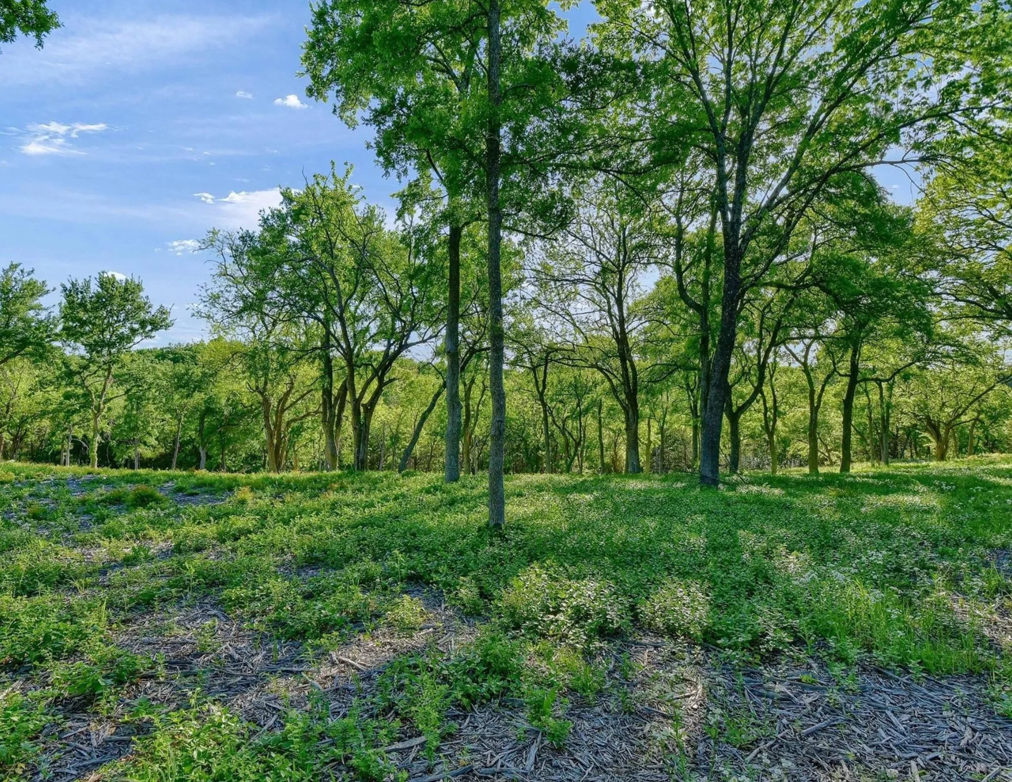 Unimproved Land For Sale in Grayson County , 5.63 acres Thompson Heights, Denison, Texas 75020, 0, 0, Garage spaces, 0 Sqft, built in 0, Price $2,395,000, mls#21235774, Real Estate Agent in Denison, Homes For Sale in Grayson county, Homes For Sale in Denison, Realtor in Denison Texas, Real Estate Brokerage Independent Realty Texas, Luminita Cordes Realtor