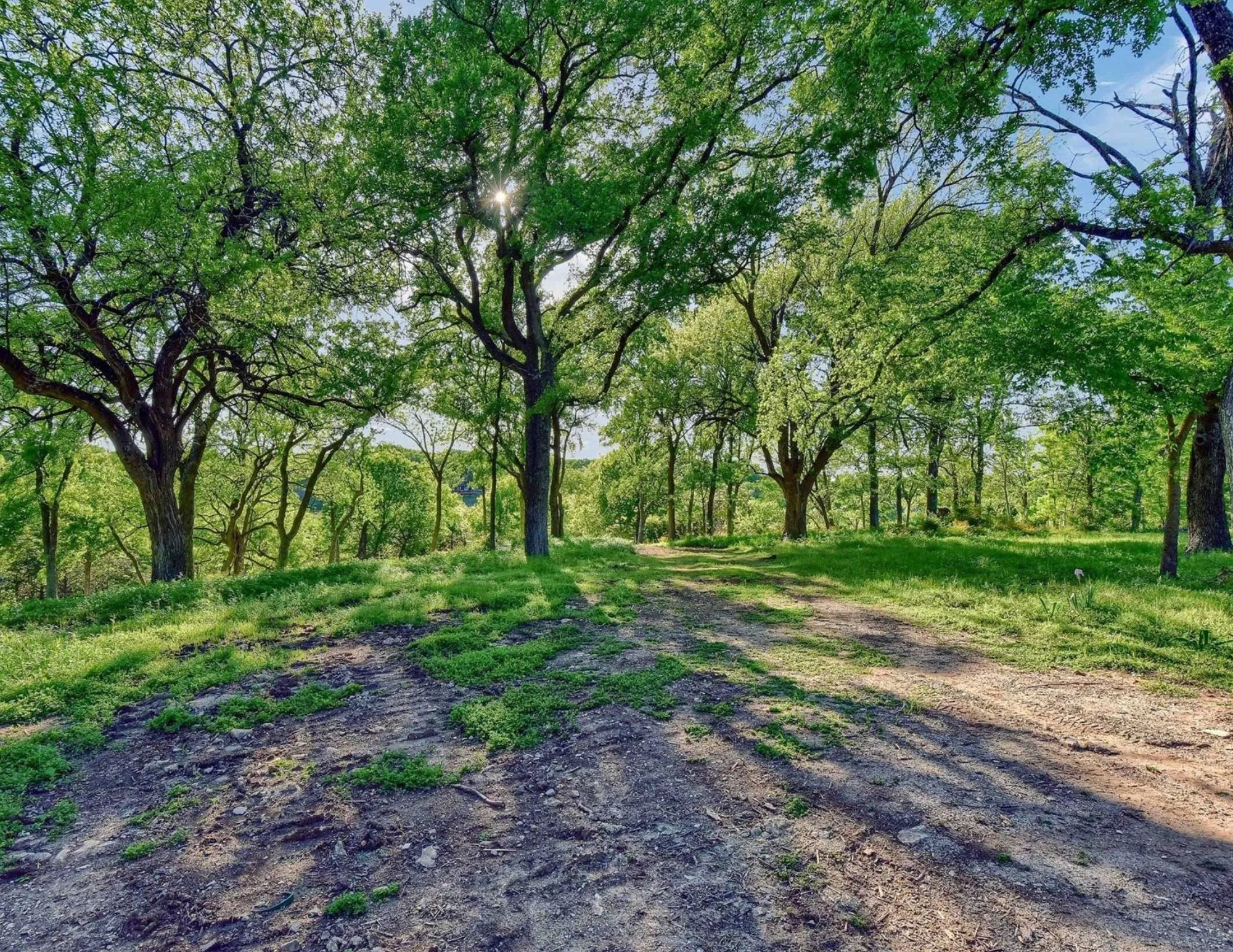 Unimproved Land For Sale in Grayson County , 5.63 acres Thompson Heights, Denison, Texas 75020, 0, 0, Garage spaces, 0 Sqft, built in 0, Price $2,395,000, mls#21235774, Real Estate Agent in Denison, Homes For Sale in Grayson county, Homes For Sale in Denison, Realtor in Denison Texas, Real Estate Brokerage Independent Realty Texas, Luminita Cordes Realtor