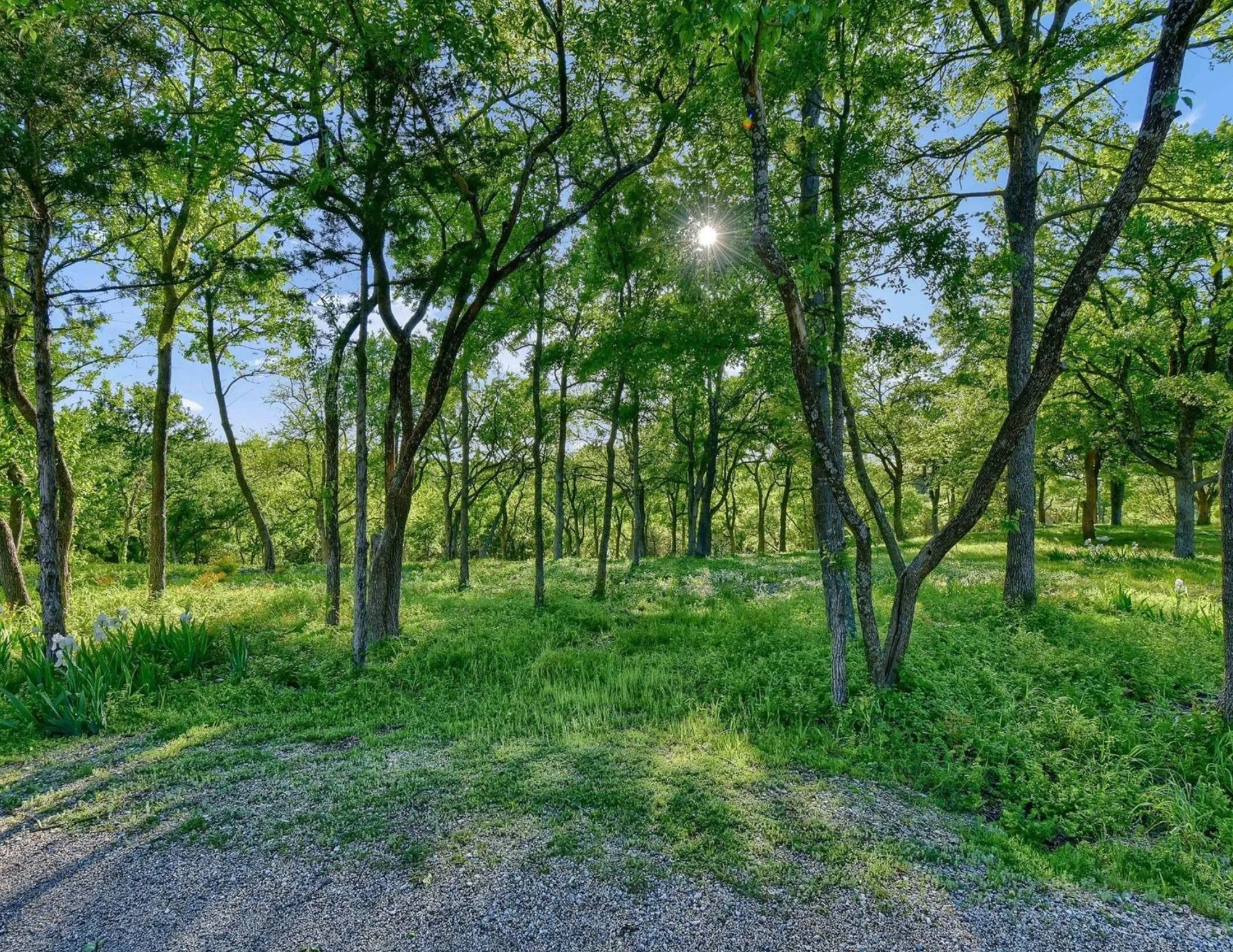 Unimproved Land For Sale in Grayson County , 5.63 acres Thompson Heights, Denison, Texas 75020, 0, 0, Garage spaces, 0 Sqft, built in 0, Price $2,395,000, mls#21235774, Real Estate Agent in Denison, Homes For Sale in Grayson county, Homes For Sale in Denison, Realtor in Denison Texas, Real Estate Brokerage Independent Realty Texas, Luminita Cordes Realtor