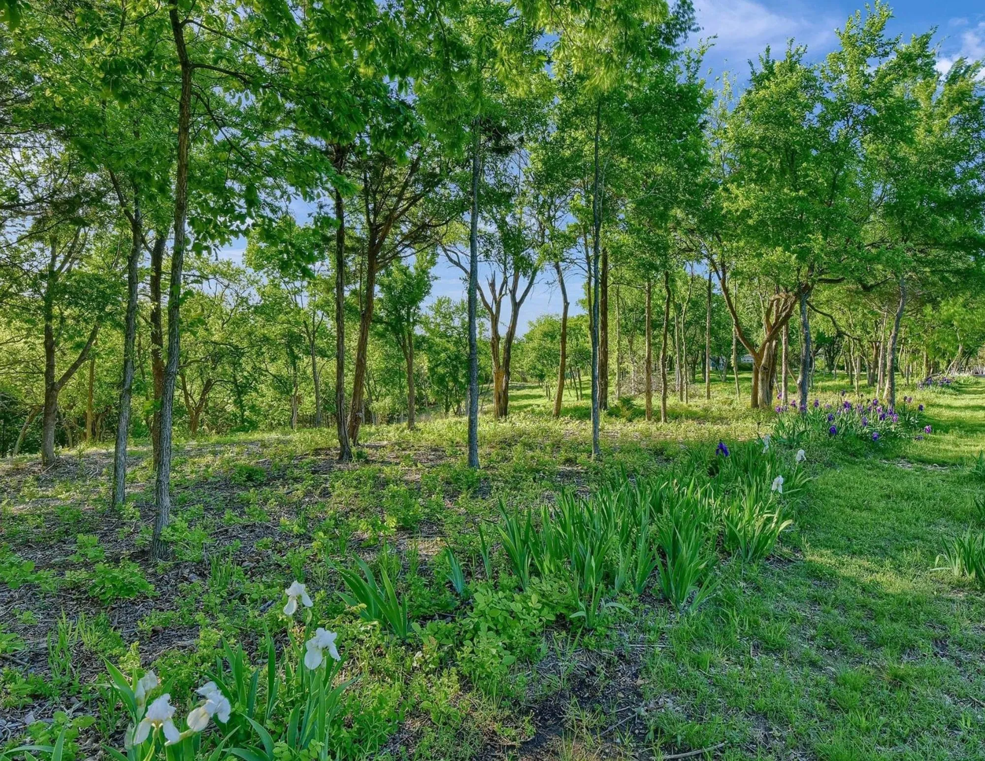 Unimproved Land For Sale in Grayson County , 5.63 acres Thompson Heights, Denison, Texas 75020, 0, 0, Garage spaces, 0 Sqft, built in 0, Price $2,395,000, mls#21235774, Real Estate Agent in Denison, Homes For Sale in Grayson county, Homes For Sale in Denison, Realtor in Denison Texas, Real Estate Brokerage Independent Realty Texas, Luminita Cordes Realtor