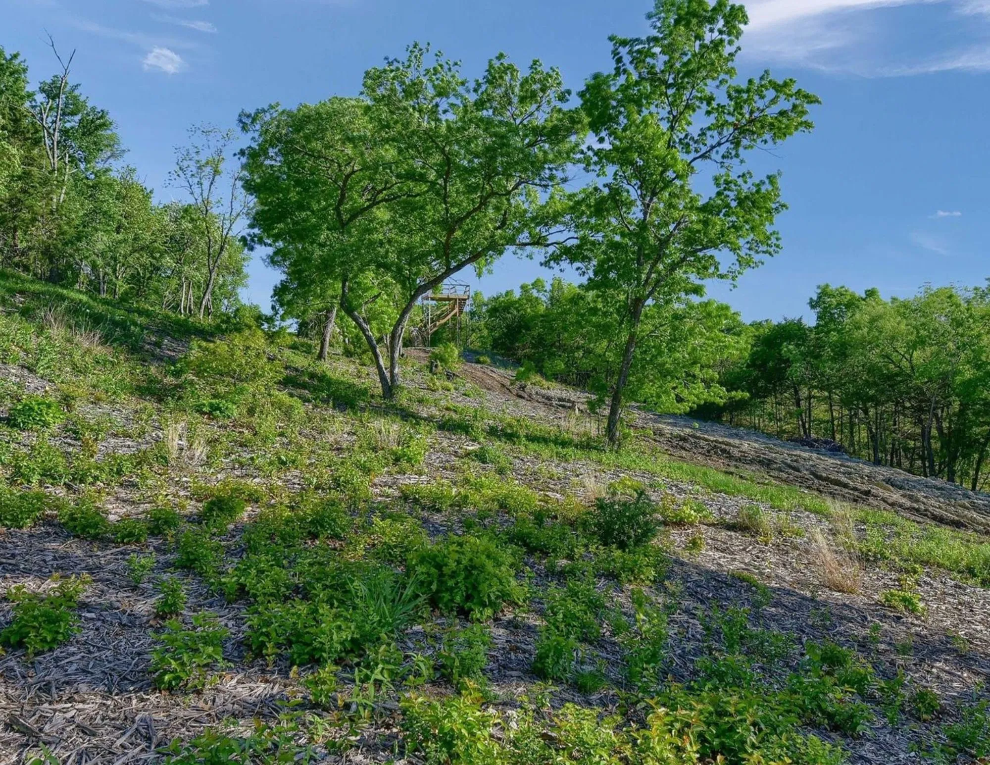 Unimproved Land For Sale in Grayson County , 5.63 acres Thompson Heights, Denison, Texas 75020, 0, 0, Garage spaces, 0 Sqft, built in 0, Price $2,395,000, mls#21235774, Real Estate Agent in Denison, Homes For Sale in Grayson county, Homes For Sale in Denison, Realtor in Denison Texas, Real Estate Brokerage Independent Realty Texas, Luminita Cordes Realtor