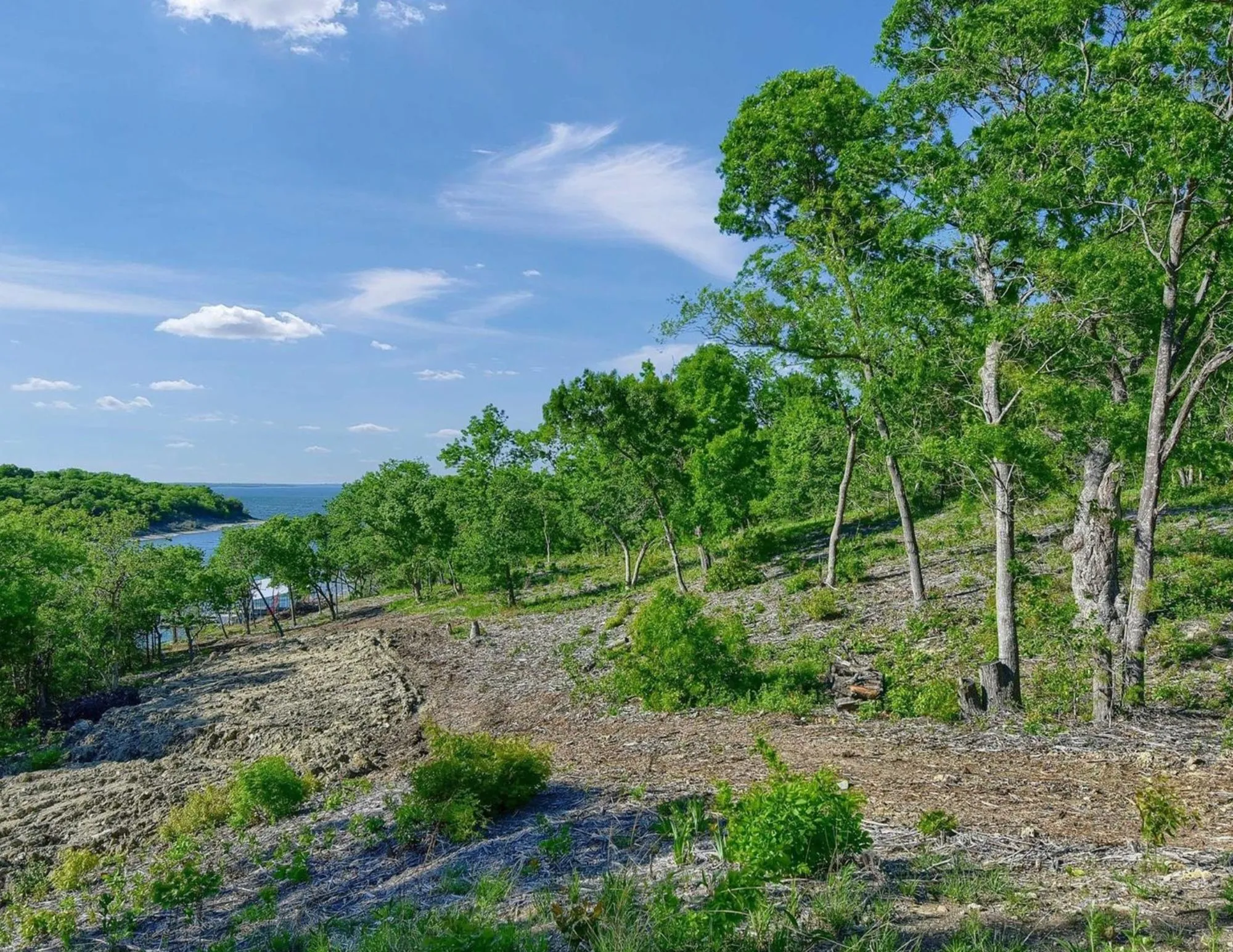 Unimproved Land For Sale in Grayson County , 5.63 acres Thompson Heights, Denison, Texas 75020, 0, 0, Garage spaces, 0 Sqft, built in 0, Price $2,395,000, mls#21235774, Real Estate Agent in Denison, Homes For Sale in Grayson county, Homes For Sale in Denison, Realtor in Denison Texas, Real Estate Brokerage Independent Realty Texas, Luminita Cordes Realtor