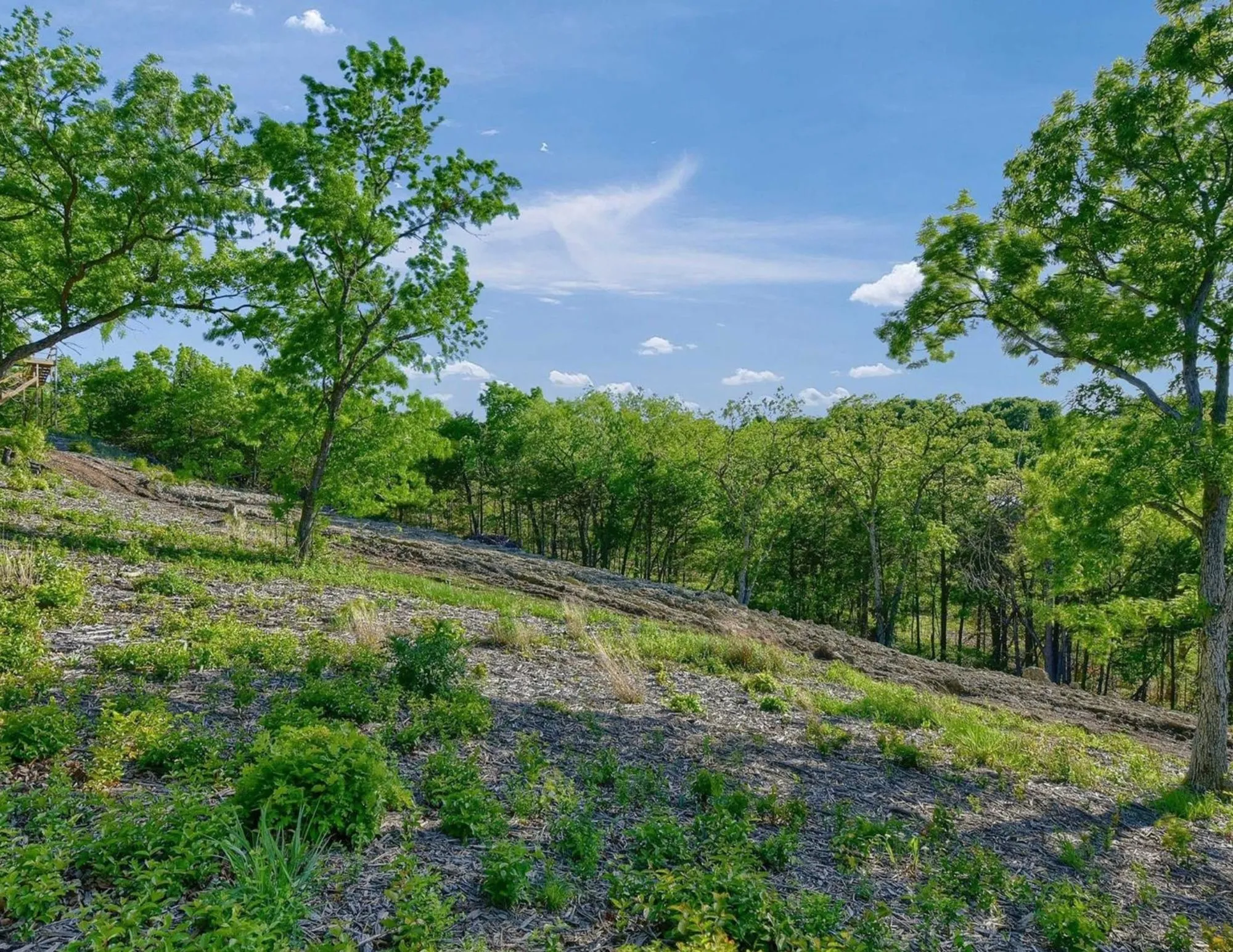 Unimproved Land For Sale in Grayson County , 5.63 acres Thompson Heights, Denison, Texas 75020, 0, 0, Garage spaces, 0 Sqft, built in 0, Price $2,395,000, mls#21235774, Real Estate Agent in Denison, Homes For Sale in Grayson county, Homes For Sale in Denison, Realtor in Denison Texas, Real Estate Brokerage Independent Realty Texas, Luminita Cordes Realtor