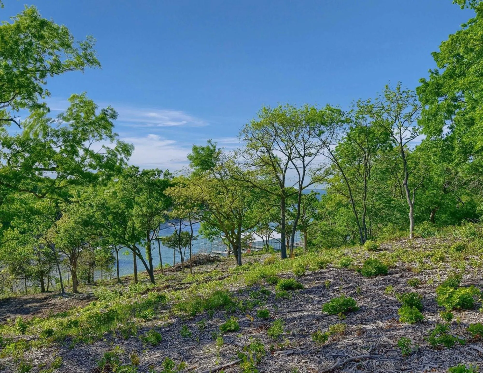 Unimproved Land For Sale in Grayson County , 5.63 acres Thompson Heights, Denison, Texas 75020, 0, 0, Garage spaces, 0 Sqft, built in 0, Price $2,395,000, mls#21235774, Real Estate Agent in Denison, Homes For Sale in Grayson county, Homes For Sale in Denison, Realtor in Denison Texas, Real Estate Brokerage Independent Realty Texas, Luminita Cordes Realtor