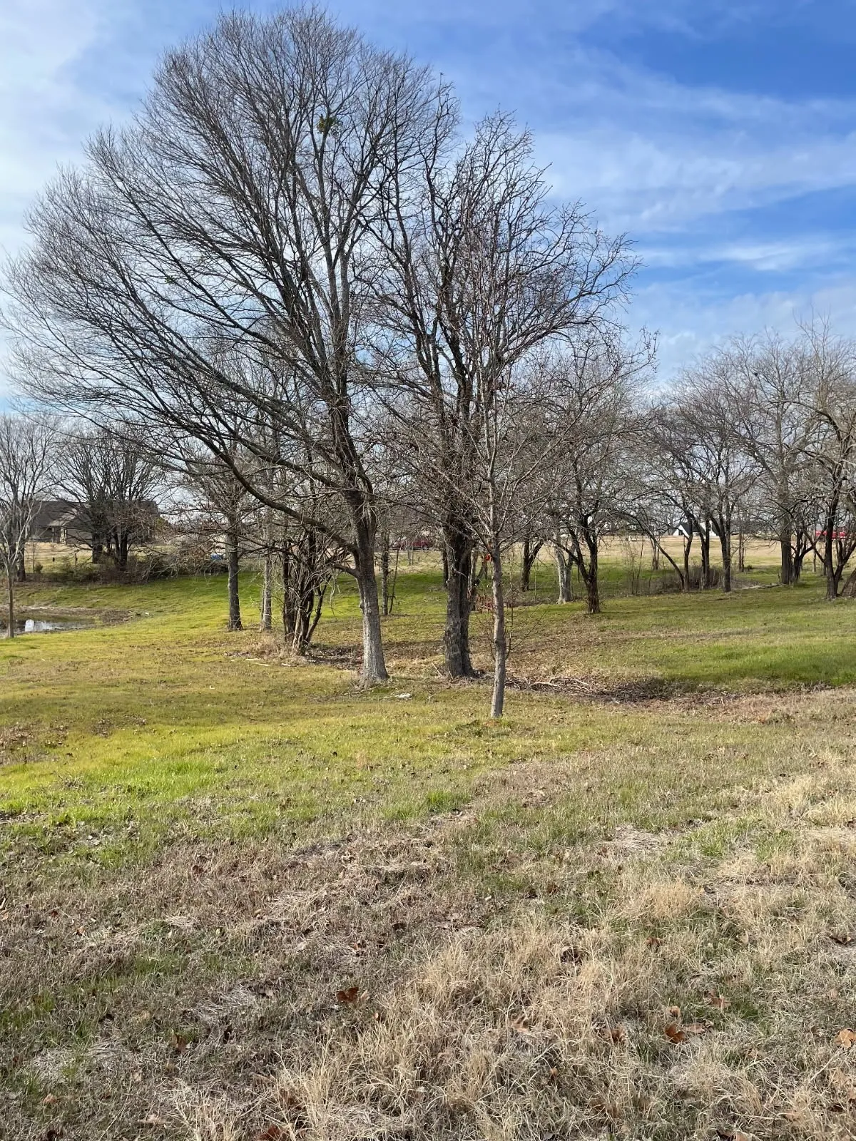 View of yard with a rural view