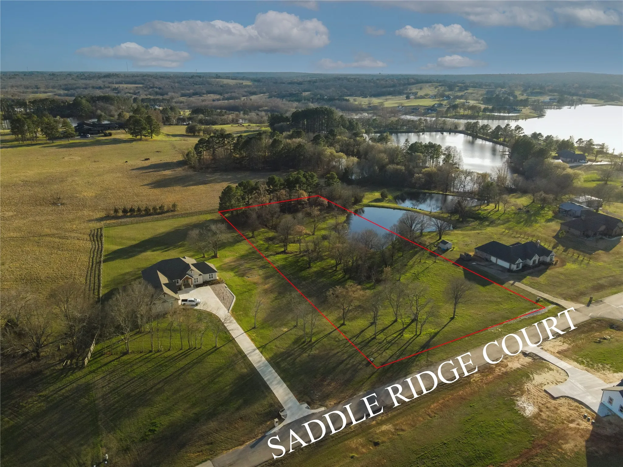 Unimproved Land For Sale in Henderson County , 5455 Saddle Ridge Court, Athens, Texas 75752, 0, 0, Garage spaces, 0 Sqft, built in 0, mls#21237114, Real Estate Agent in Athens, Homes For Sale in Henderson county, Homes For Sale in Athens, Realtor in Athens Texas, Real Estate Brokerage Independent Realty Texas, Luminita Cordes Realtor