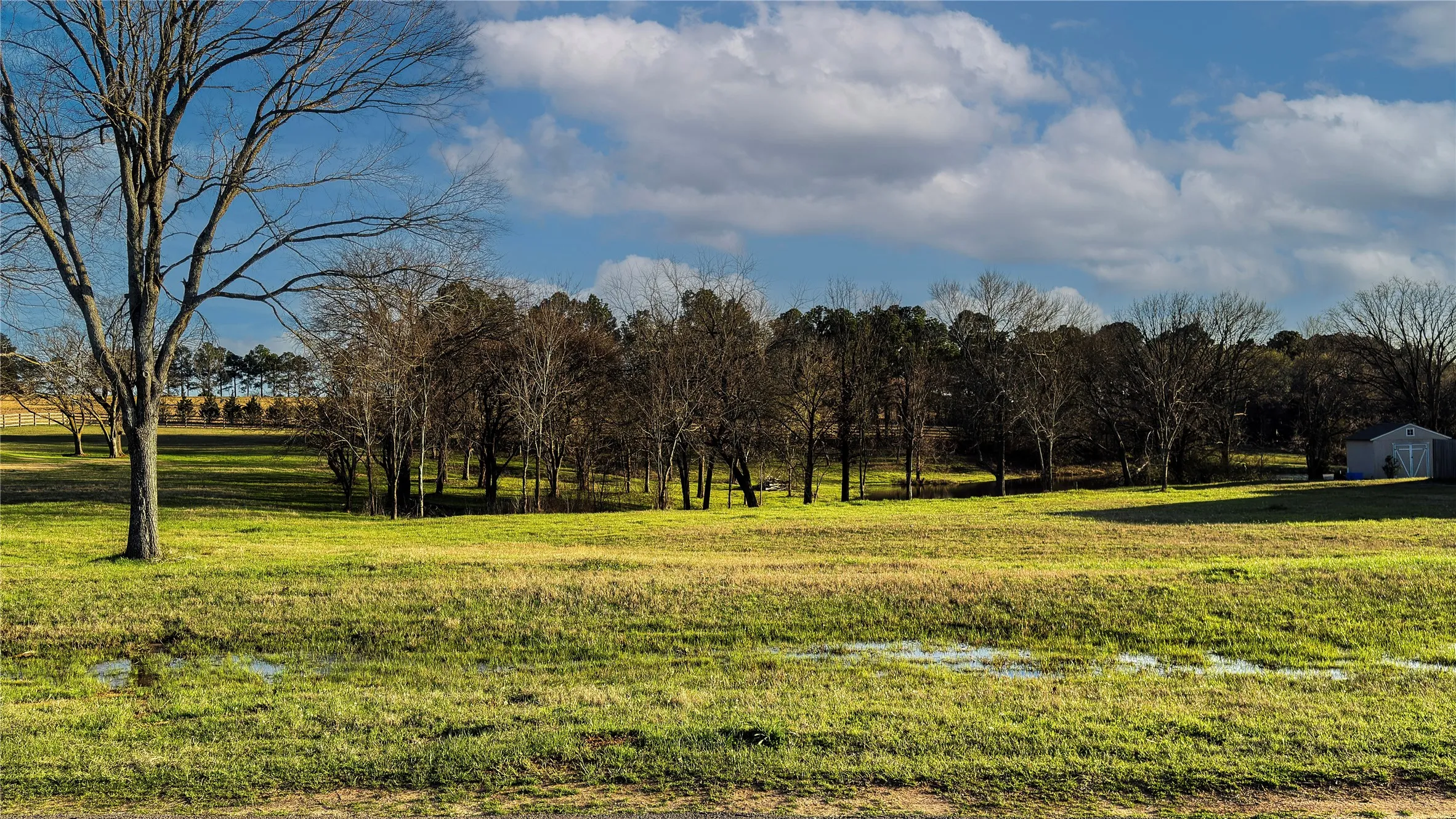View of local wilderness