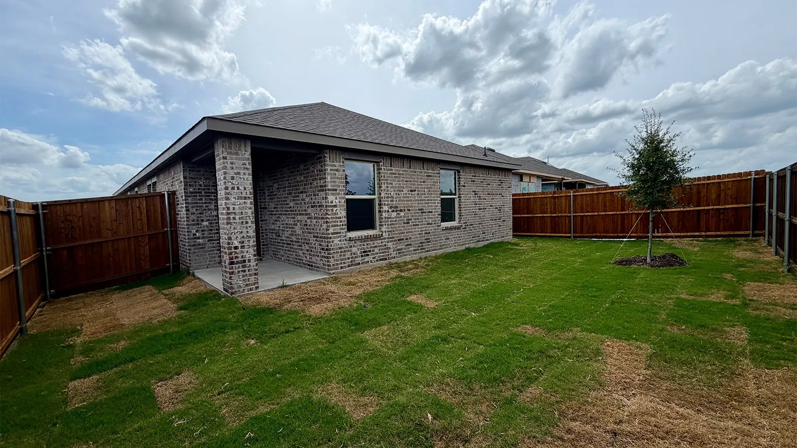 Expansive backyard featuring a brick exterior, covered patio, wood privacy fencing, and a newly planted tree