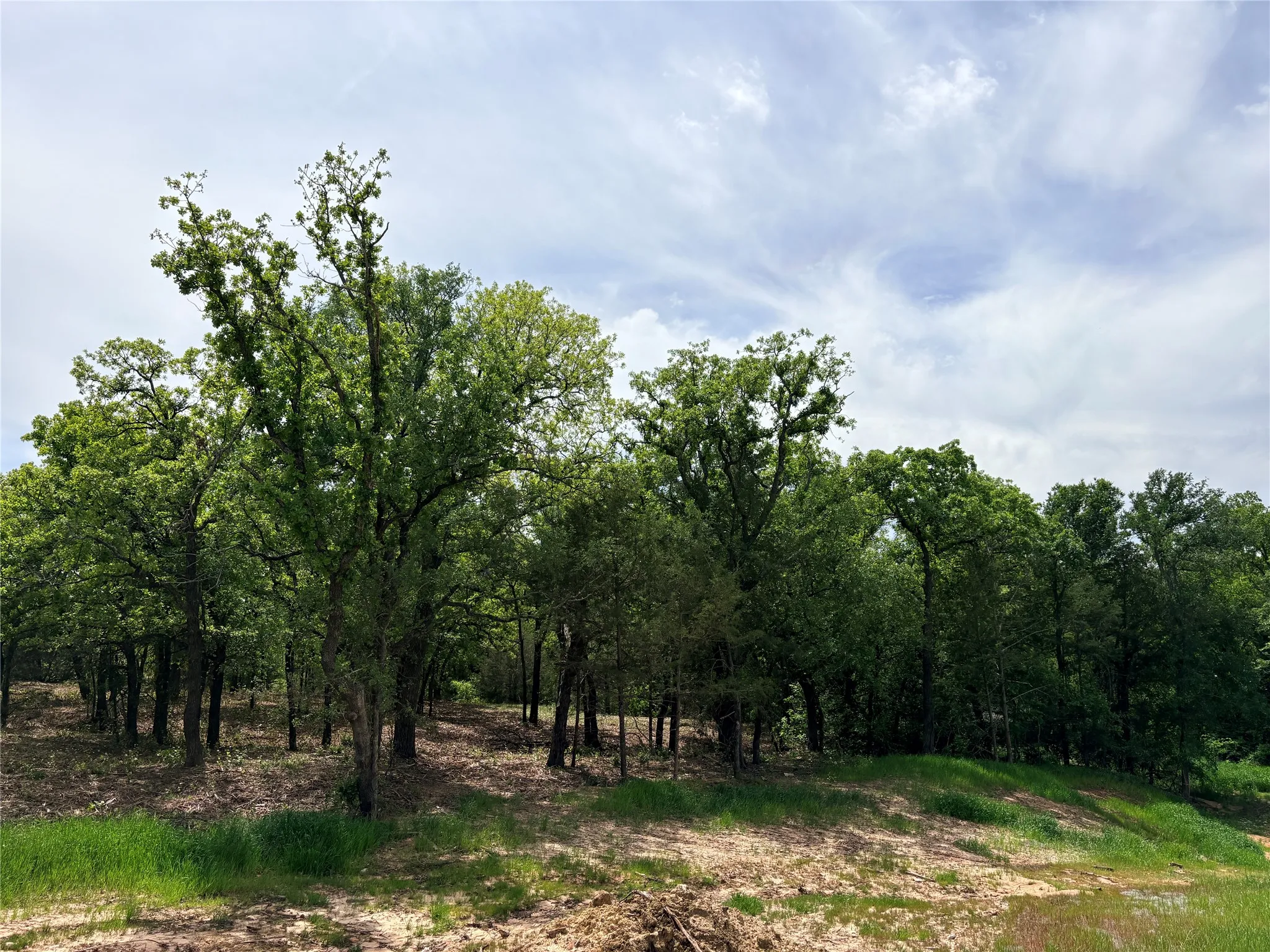 Improved Land For Sale in Wise County , 135 Turtle Back Ridge, Decatur, Texas 76234, 0, 0, Garage spaces, 0 Sqft, built in 0, mls#21237970, Real Estate Agent in Decatur, Homes For Sale in Wise county, Homes For Sale in Decatur, Realtor in Decatur Texas, Real Estate Brokerage Independent Realty Texas, Luminita Cordes Realtor