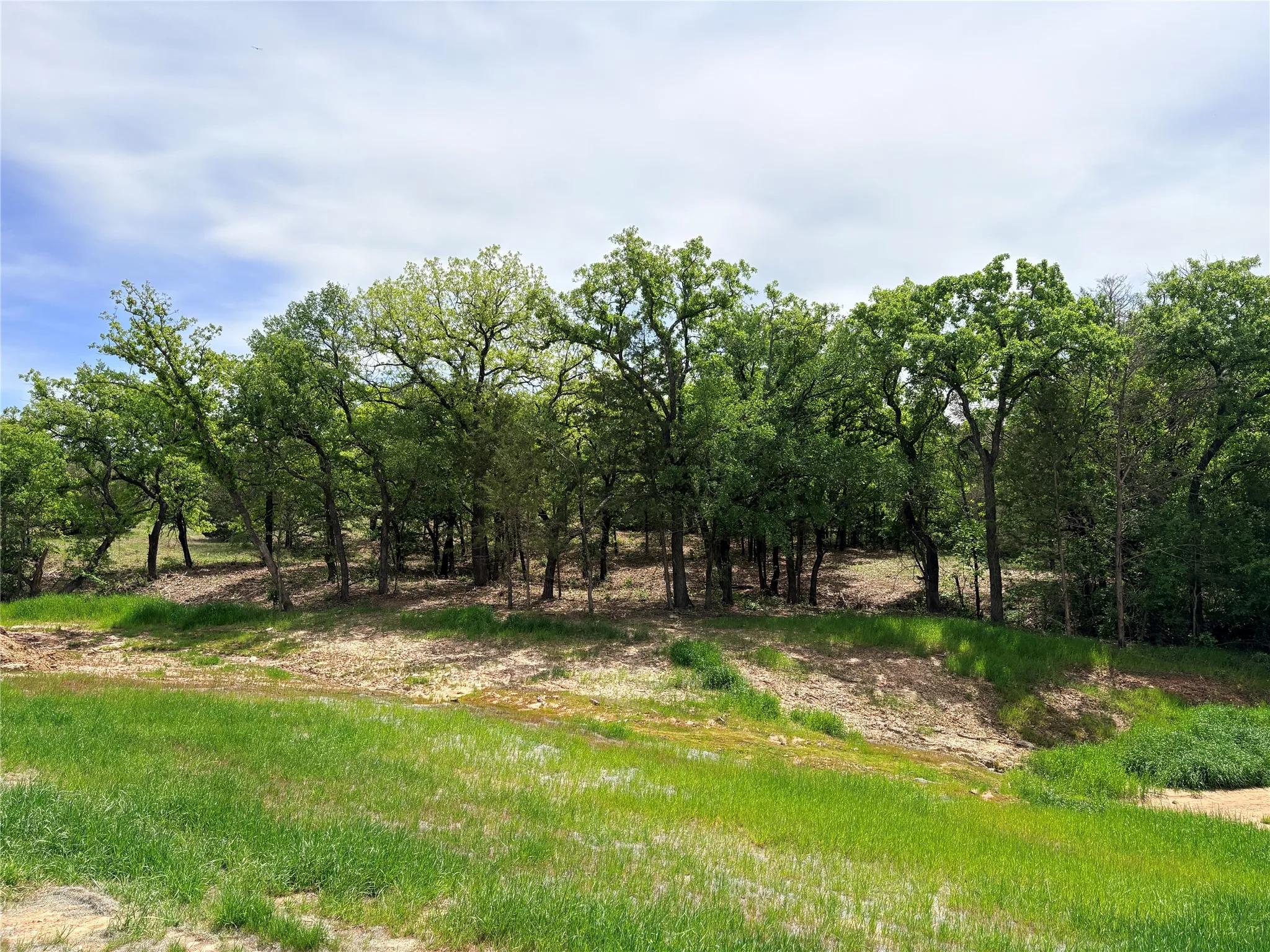 Improved Land For Sale in Wise County , 135 Turtle Back Ridge, Decatur, Texas 76234, 0, 0, Garage spaces, 0 Sqft, built in 0, mls#21237970, Real Estate Agent in Decatur, Homes For Sale in Wise county, Homes For Sale in Decatur, Realtor in Decatur Texas, Real Estate Brokerage Independent Realty Texas, Luminita Cordes Realtor