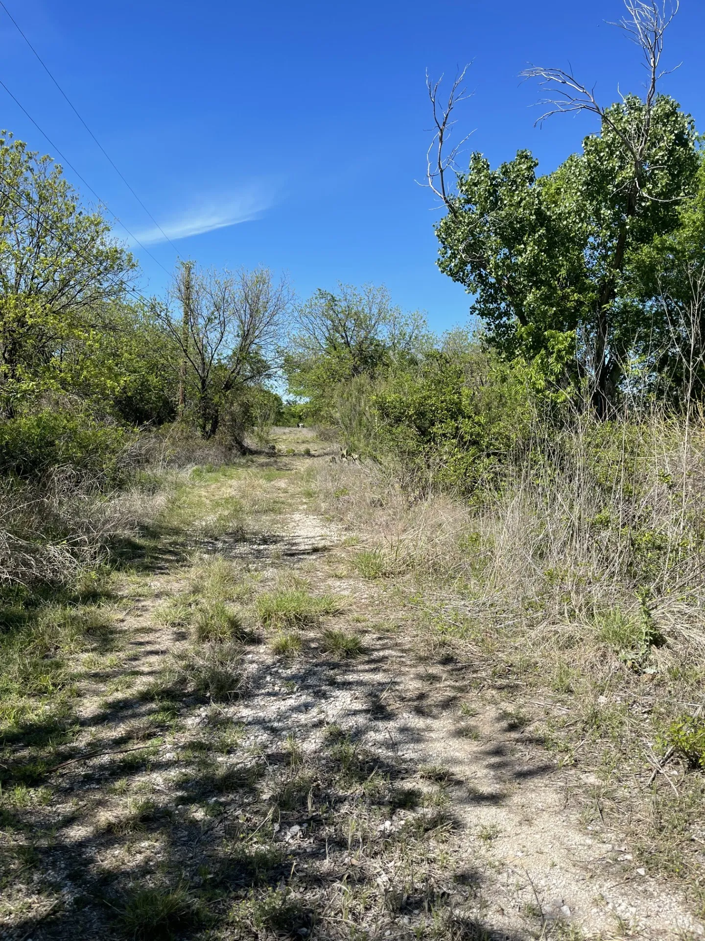 Unimproved Land For Sale in Brown County , 31 Julia, Bangs, Texas 76823, 0, 0, Garage spaces, 0 Sqft, built in 0, mls#21235697, Real Estate Agent in Bangs, Homes For Sale in Brown county, Homes For Sale in Bangs, Realtor in Bangs Texas, Real Estate Brokerage Independent Realty Texas, Luminita Cordes Realtor