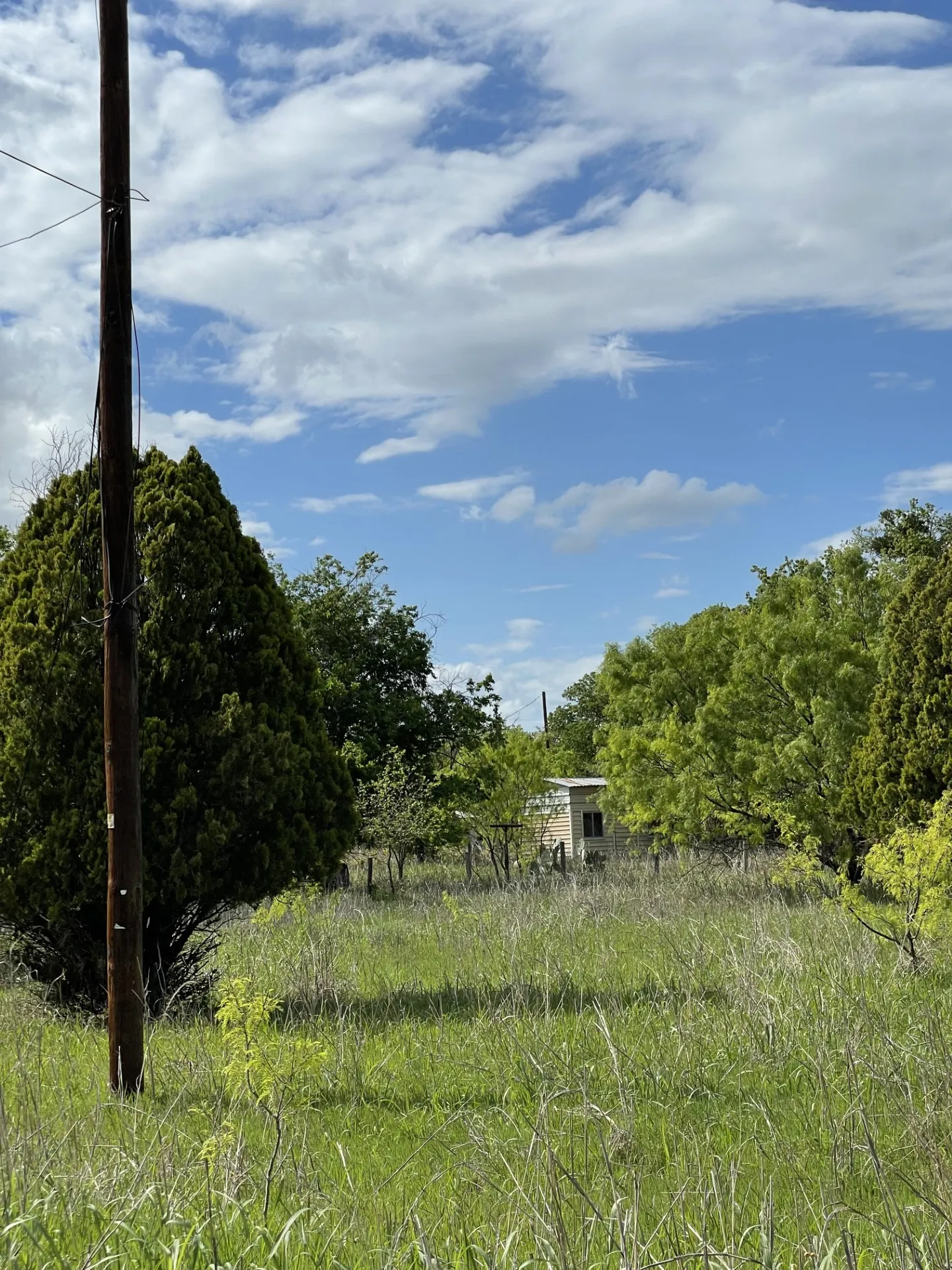Unimproved Land For Sale in Brown County , 31 Julia, Bangs, Texas 76823, 0, 0, Garage spaces, 0 Sqft, built in 0, mls#21235697, Real Estate Agent in Bangs, Homes For Sale in Brown county, Homes For Sale in Bangs, Realtor in Bangs Texas, Real Estate Brokerage Independent Realty Texas, Luminita Cordes Realtor
