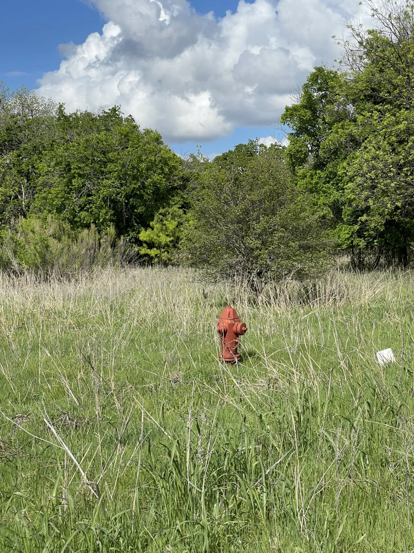 Unimproved Land For Sale in Brown County , 31 Julia, Bangs, Texas 76823, 0, 0, Garage spaces, 0 Sqft, built in 0, mls#21235697, Real Estate Agent in Bangs, Homes For Sale in Brown county, Homes For Sale in Bangs, Realtor in Bangs Texas, Real Estate Brokerage Independent Realty Texas, Luminita Cordes Realtor