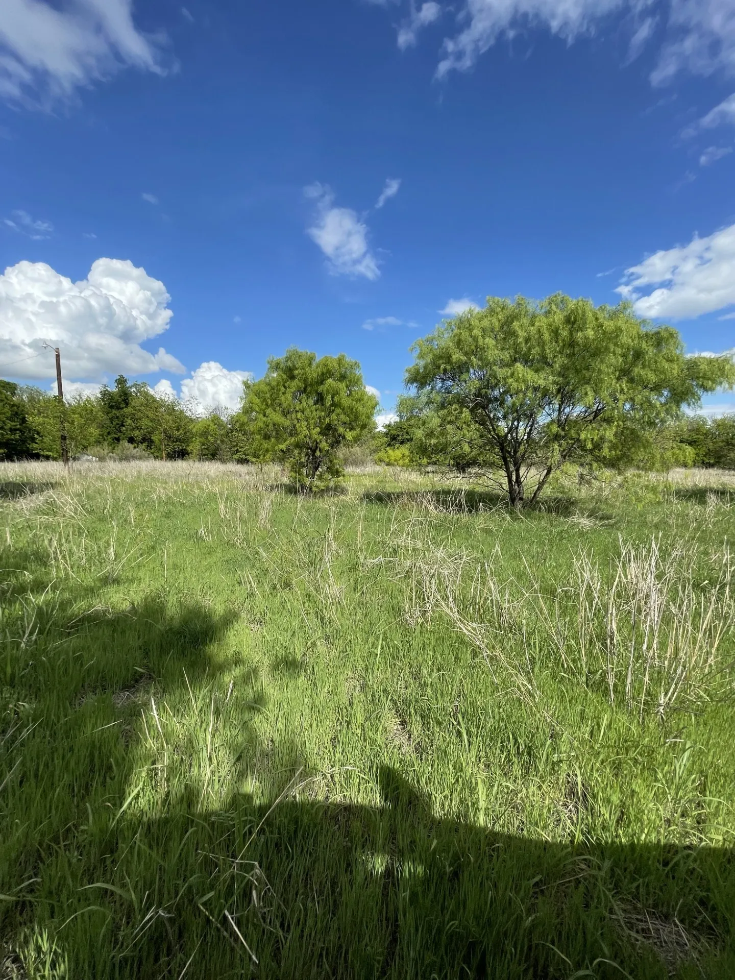 Unimproved Land For Sale in Brown County , 31 Julia, Bangs, Texas 76823, 0, 0, Garage spaces, 0 Sqft, built in 0, mls#21235697, Real Estate Agent in Bangs, Homes For Sale in Brown county, Homes For Sale in Bangs, Realtor in Bangs Texas, Real Estate Brokerage Independent Realty Texas, Luminita Cordes Realtor
