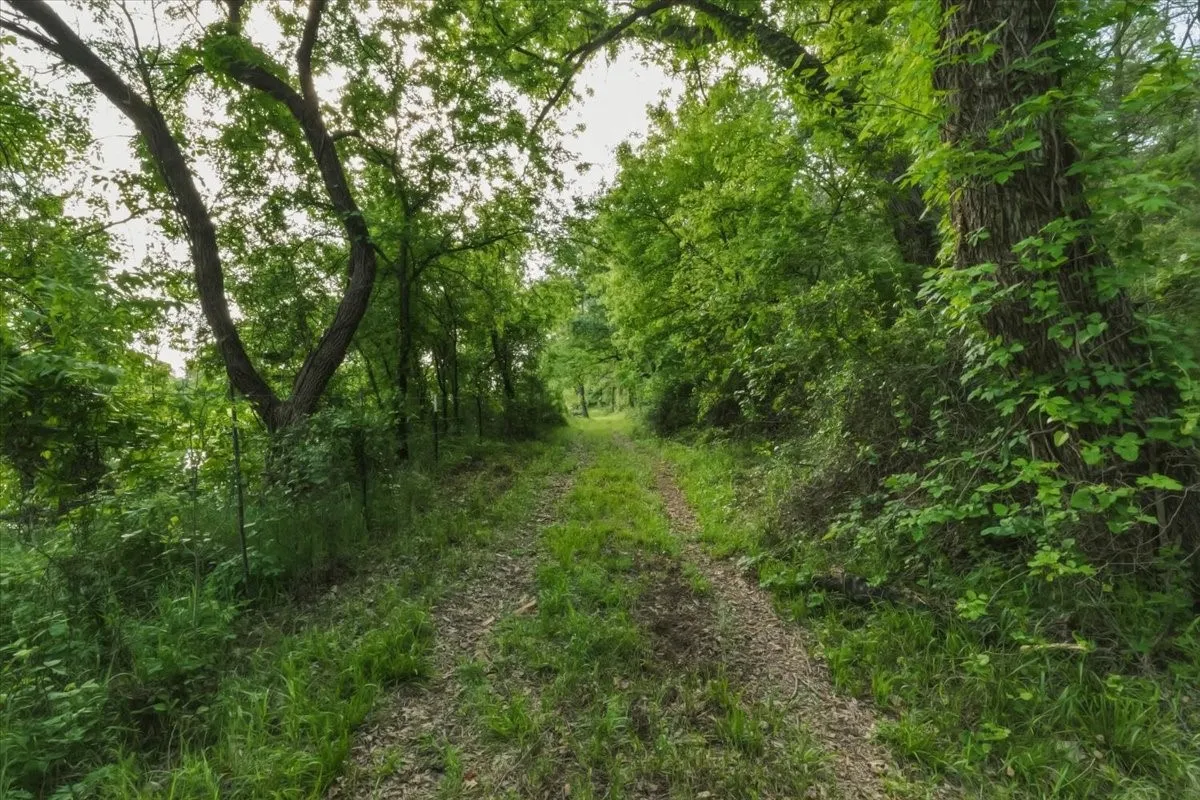 Unimproved Land For Sale in Palo Pinto County , 1370 Capstone Ridge Drive, Santo, Texas 76472, 0, 0, Garage spaces, 0 Sqft, built in 0, mls#21238064, Real Estate Agent in Santo, Homes For Sale in Palo Pinto county, Homes For Sale in Santo, Realtor in Santo Texas, Real Estate Brokerage Independent Realty Texas, Luminita Cordes Realtor