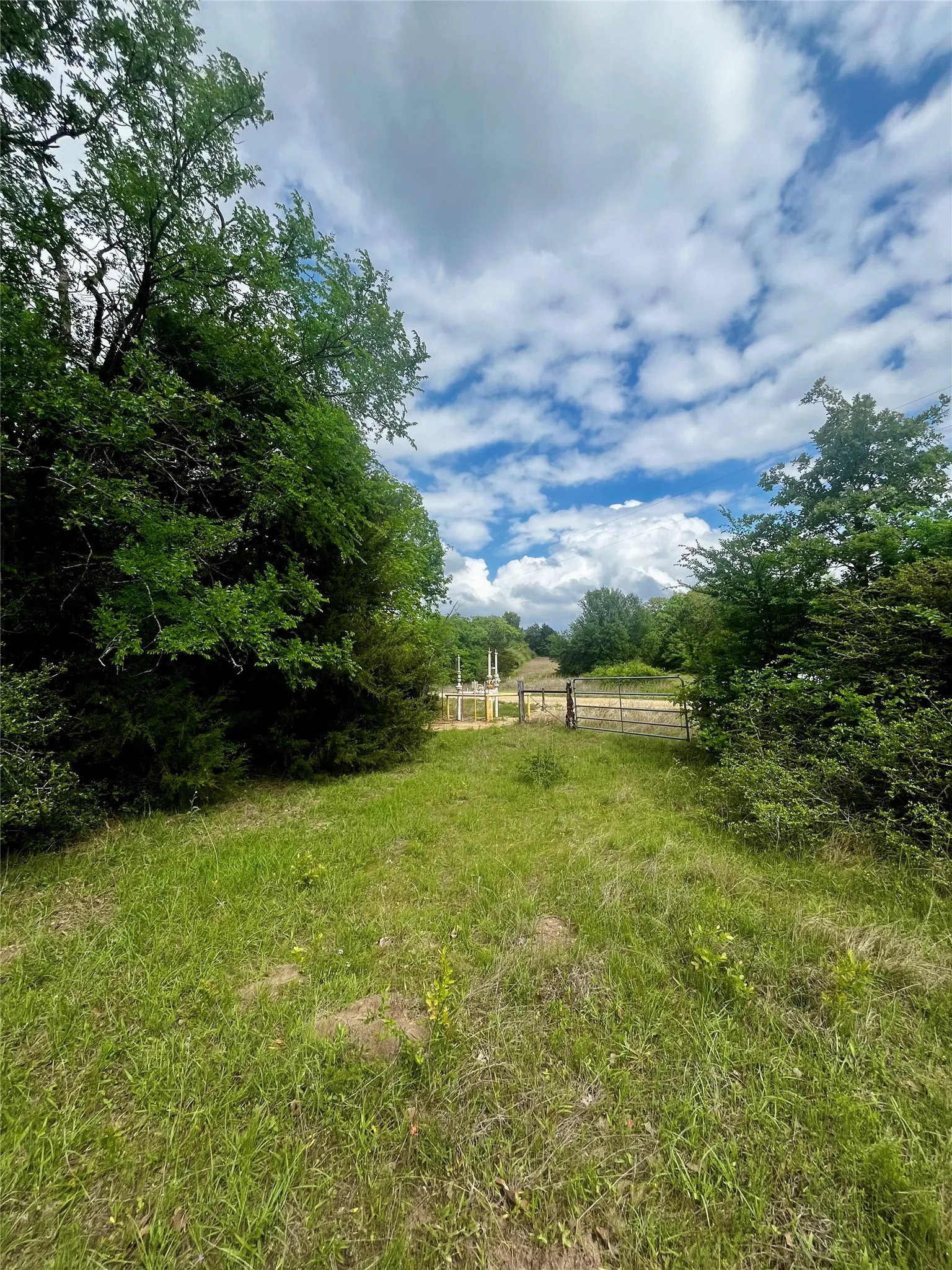 Unimproved Land For Sale in Limestone County , TBD PR 5787, Groesbeck, Texas 76642, 0, 0, Garage spaces, 0 Sqft, built in 0, Price $99,999, mls#21238355, Real Estate Agent in Groesbeck, Homes For Sale in Limestone county, Homes For Sale in Groesbeck, Realtor in Groesbeck Texas, Real Estate Brokerage Independent Realty Texas, Luminita Cordes Realtor