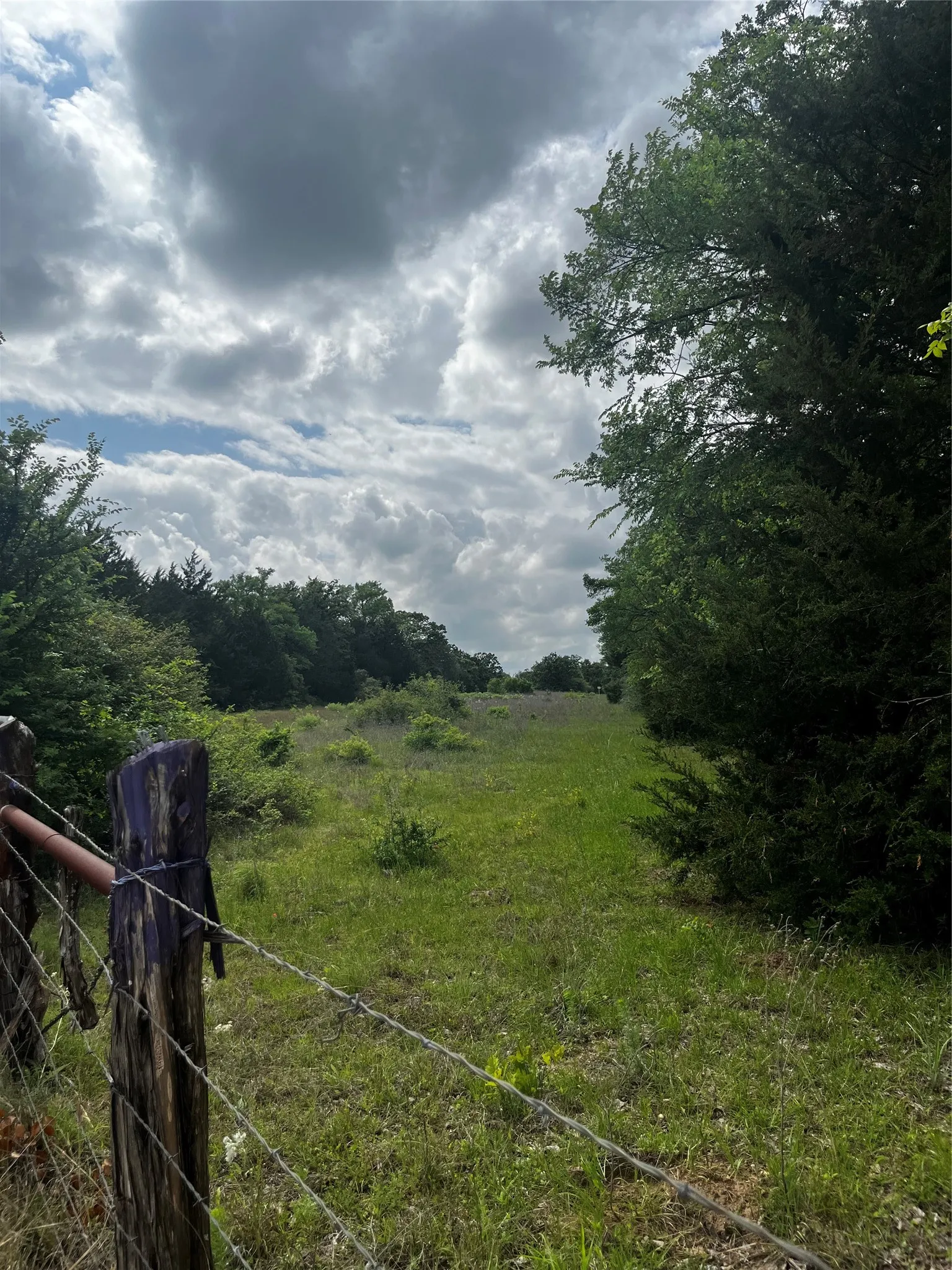 Unimproved Land For Sale in Limestone County , TBD PR 5787, Groesbeck, Texas 76642, 0, 0, Garage spaces, 0 Sqft, built in 0, Price $99,999, mls#21238355, Real Estate Agent in Groesbeck, Homes For Sale in Limestone county, Homes For Sale in Groesbeck, Realtor in Groesbeck Texas, Real Estate Brokerage Independent Realty Texas, Luminita Cordes Realtor
