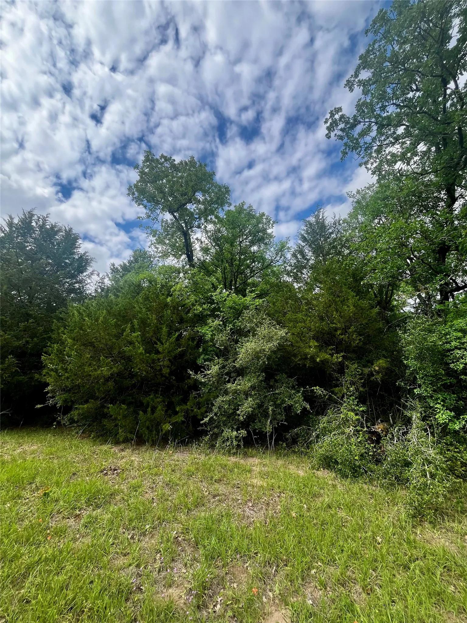 Front of Property near PR 5787