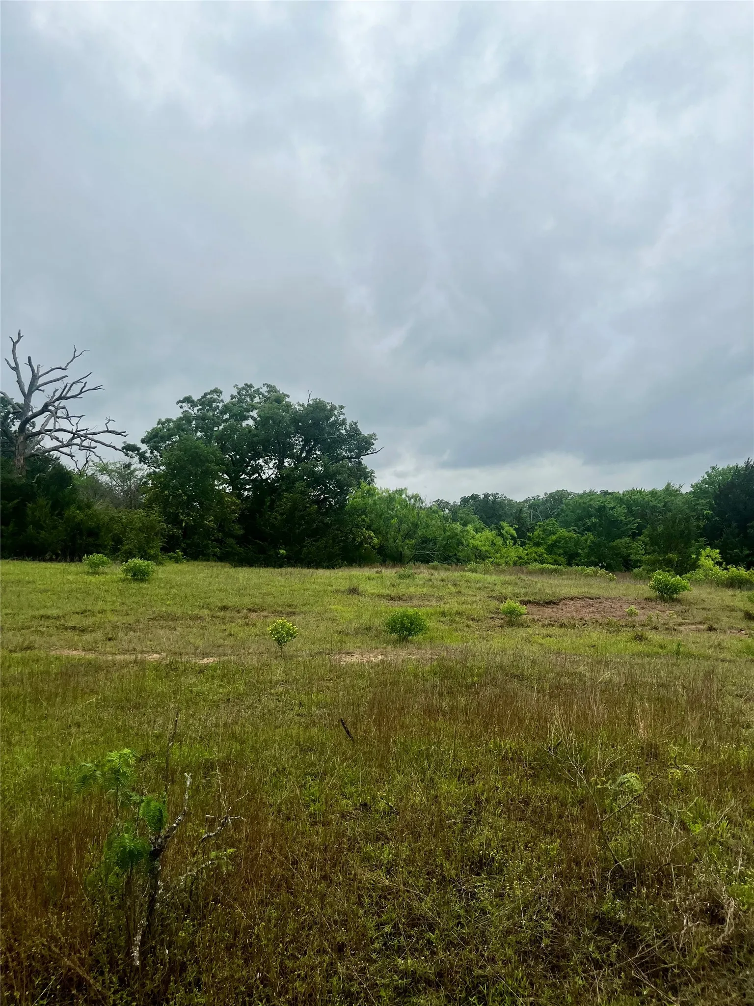 Back of property near well pad
